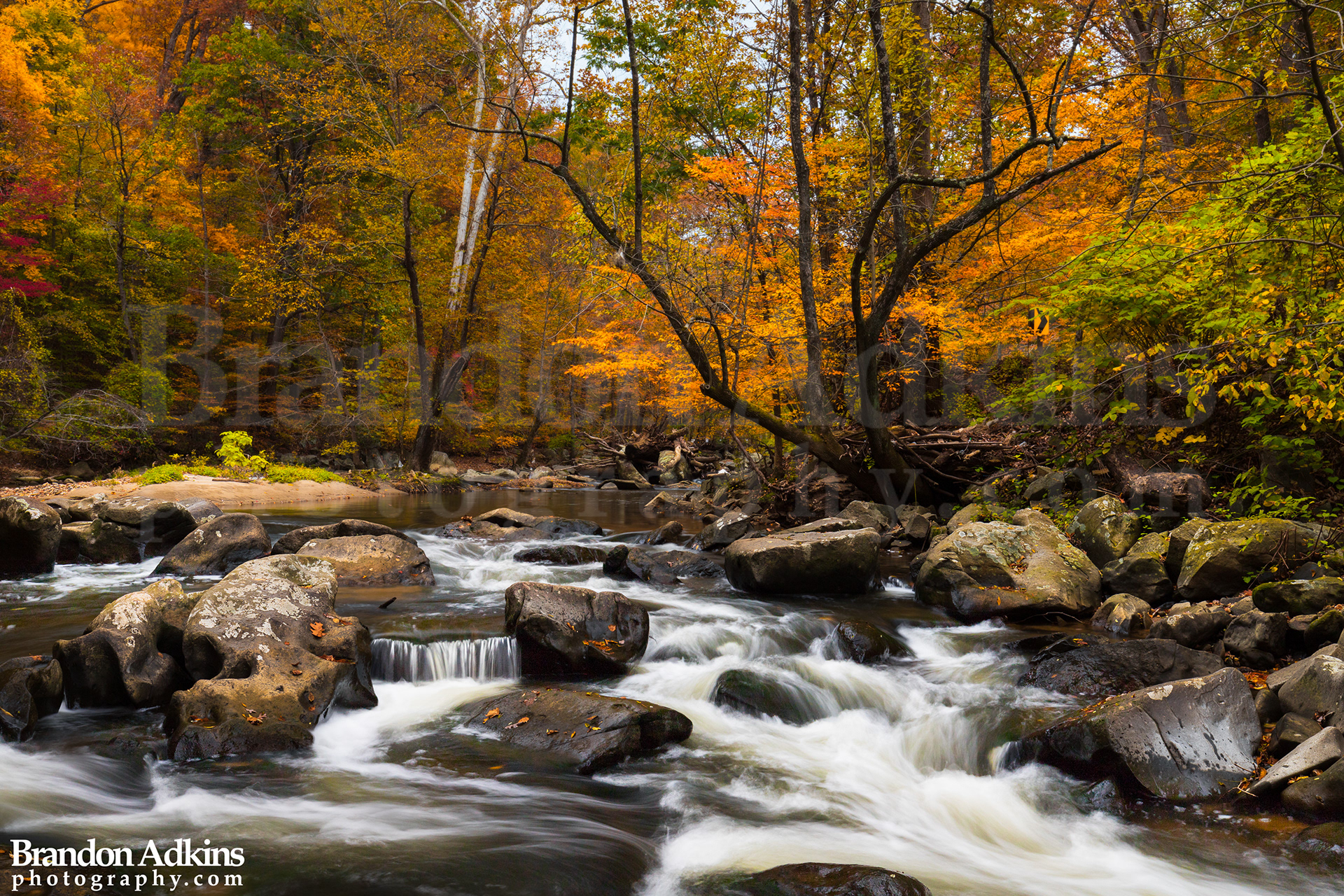 Fine art photograph of Rock Creek park with rushing water and orange, red, and yellow foliage in the background during fall