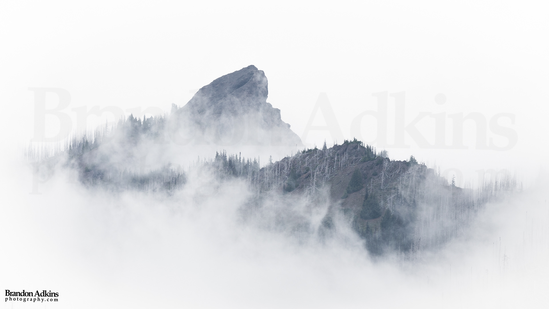 Fine art photography of mountain peak surrounded by fog in Olympic National Park, Washington
