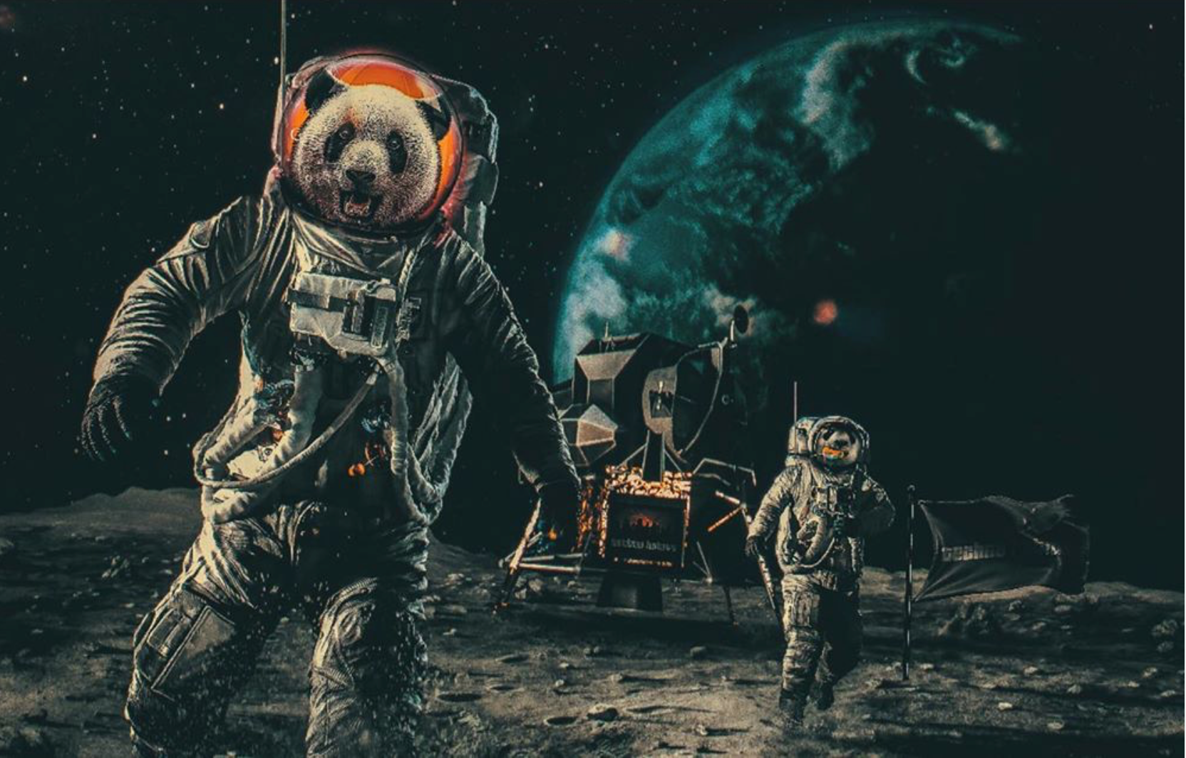 ᴍᴀʀɪɴᴏs_sᴛ - Animals in space
