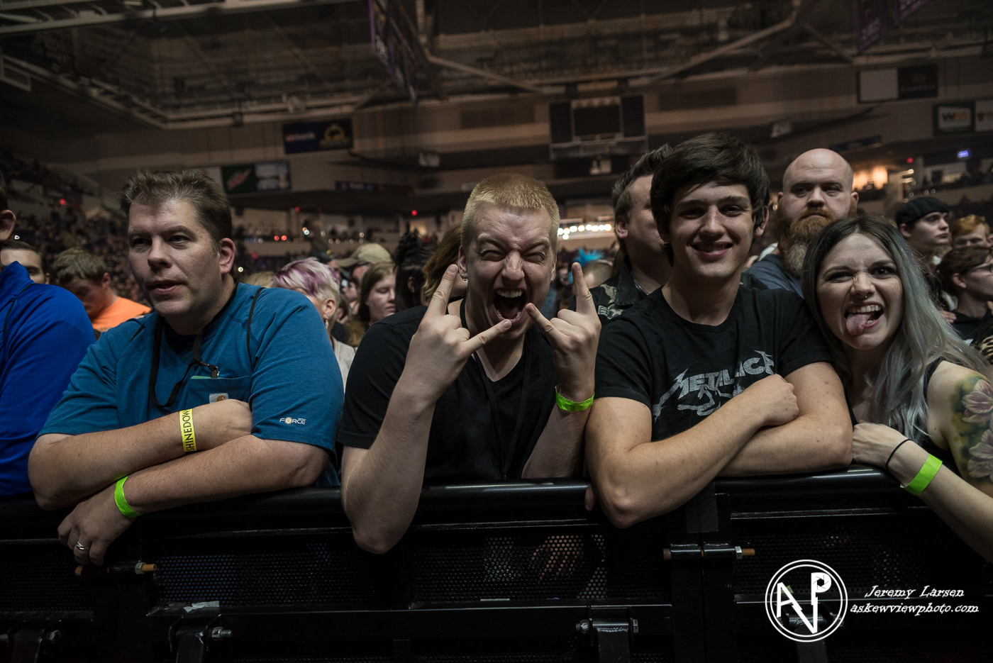 Crowd for Shinedown