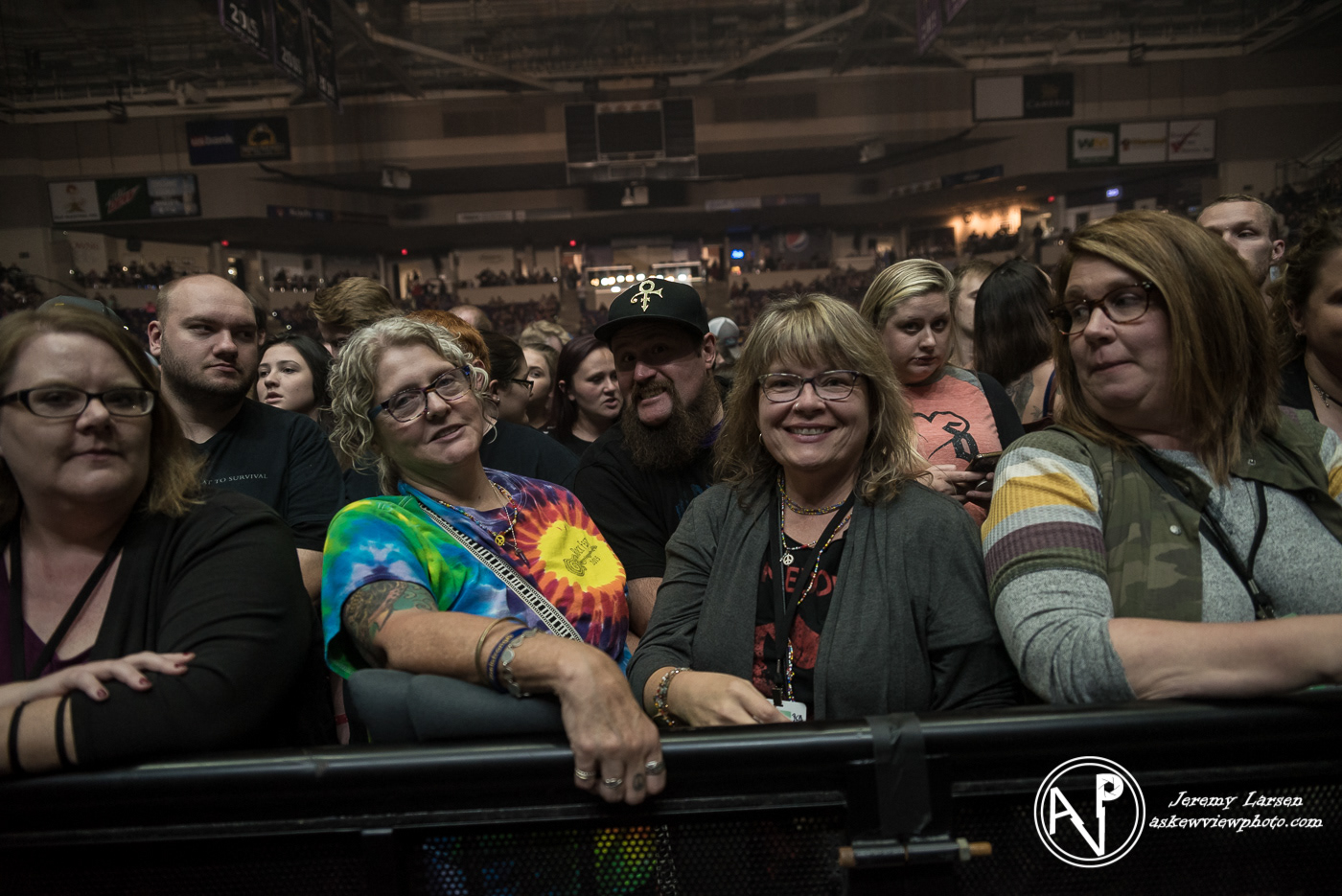 Crowd for Shinedown