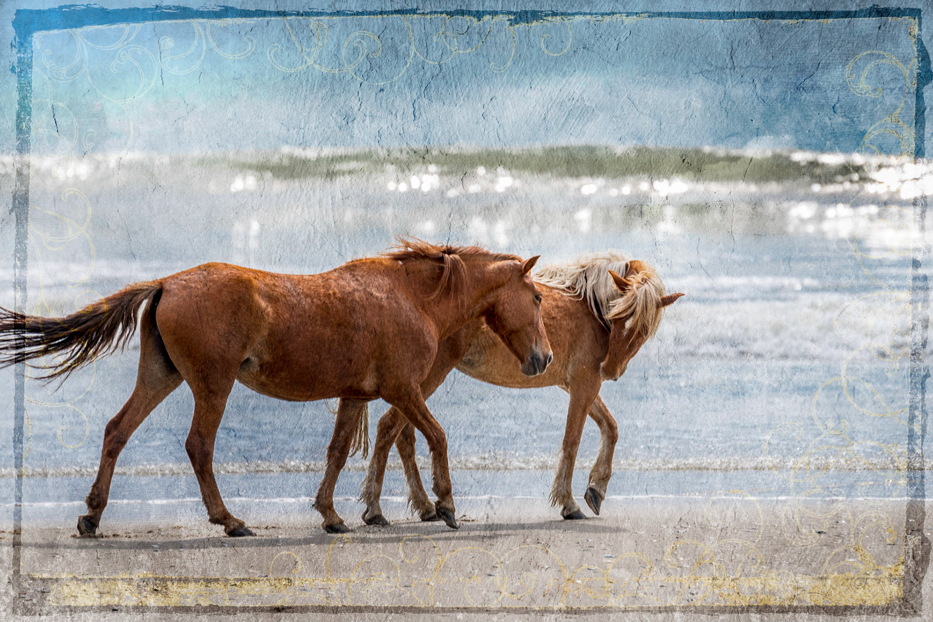"Together" • Wild Horses, Outer Banks, North Carolina