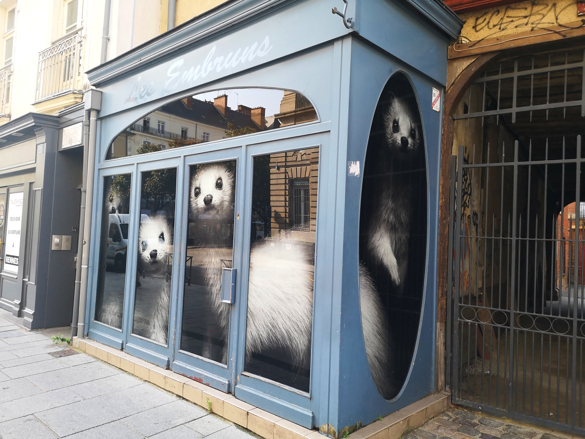 Adhésif sur vitres - Exposition Les Hermines (Rennes)