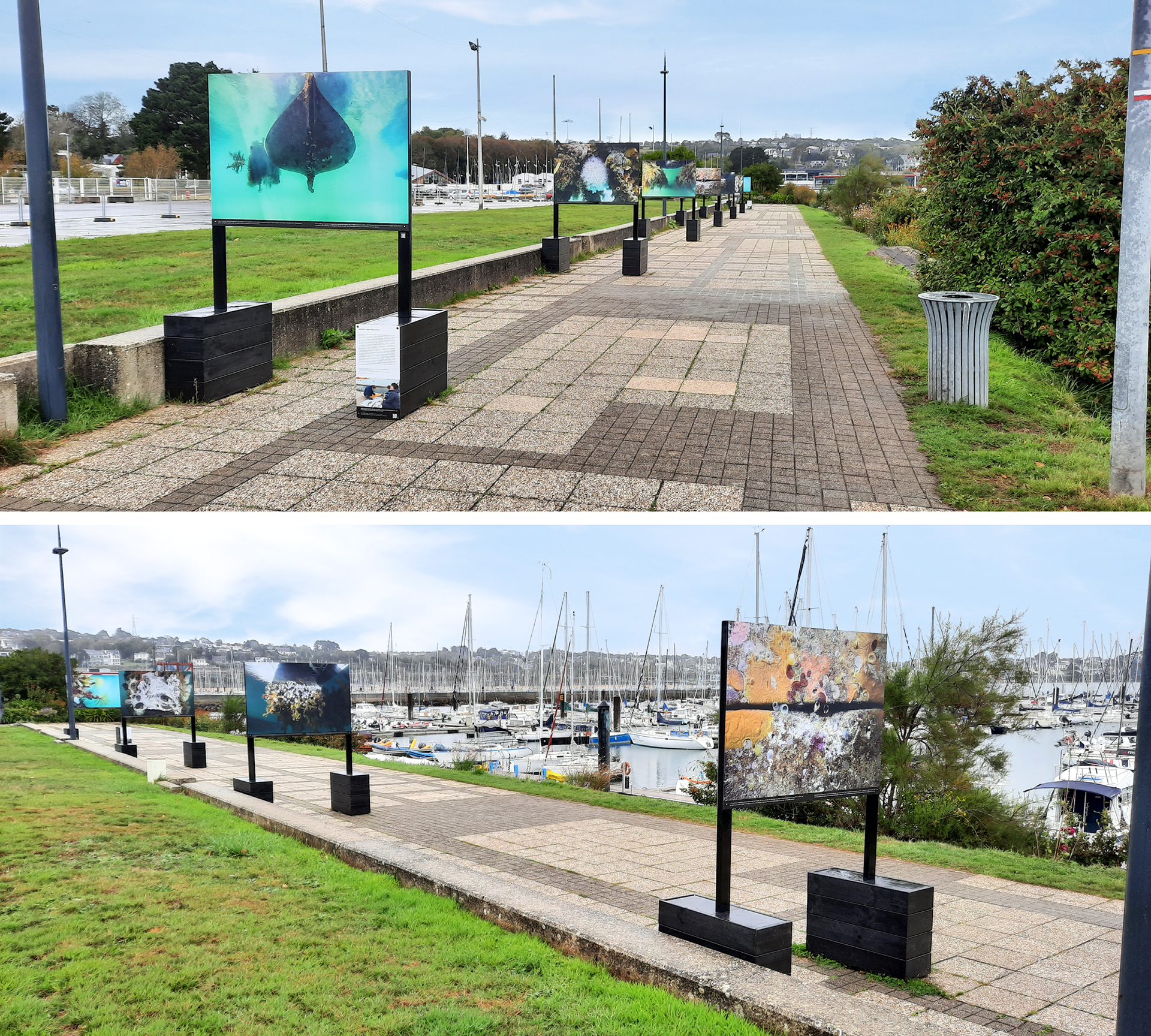 Structures d'exposition "cargo" double face - Océanopolis (Roscoff)