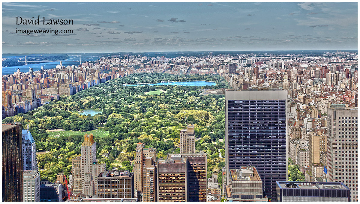 Central Park - New York
