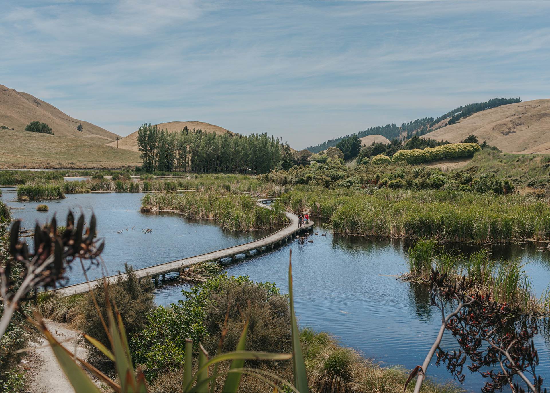 Peka Peka wetlands near Hastings on a hot summer's afternoon