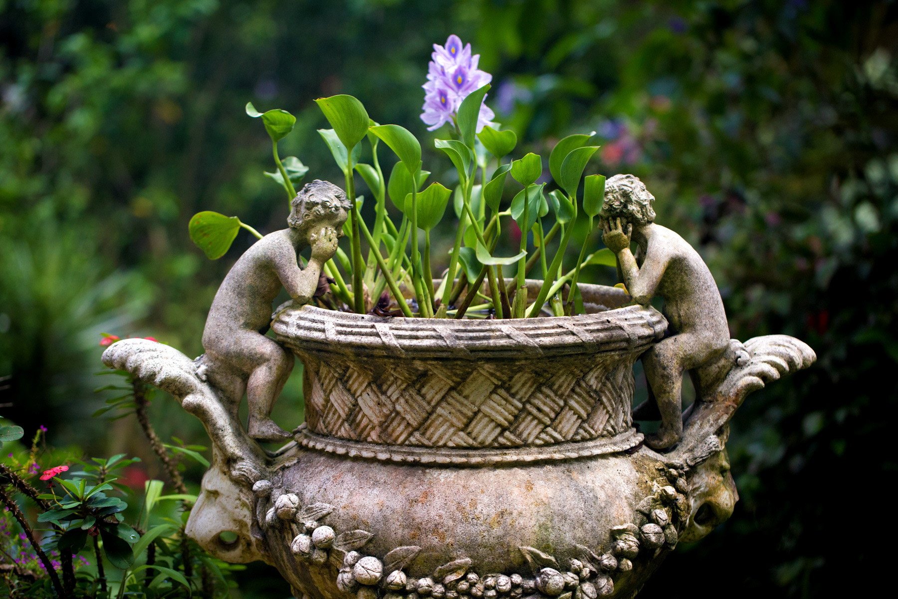 Barbados - Hunte's Garden