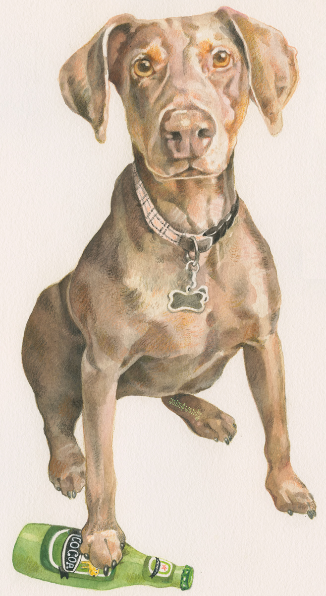 Cocoa
