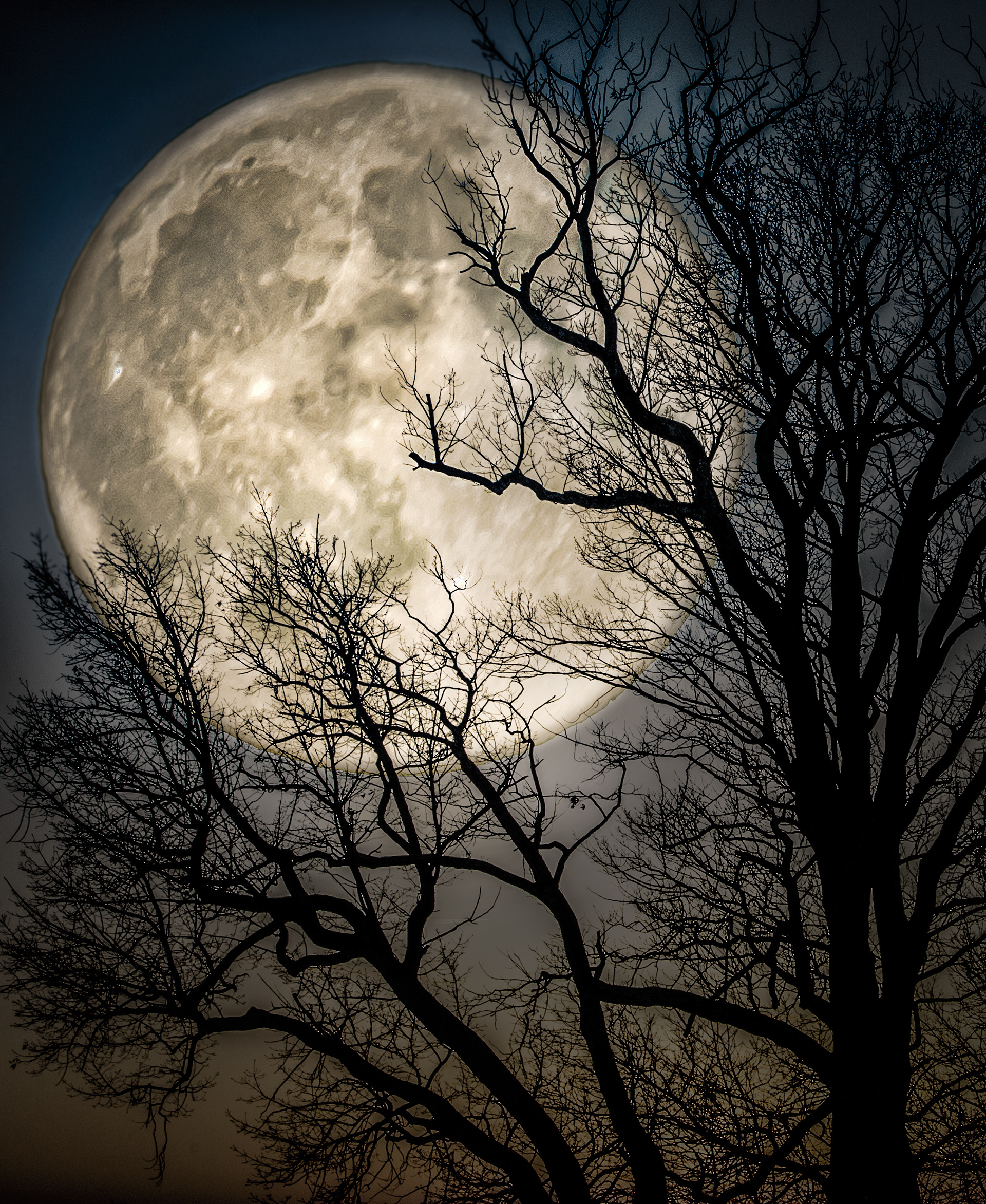 Photography by Elaine Johnston Schuch
