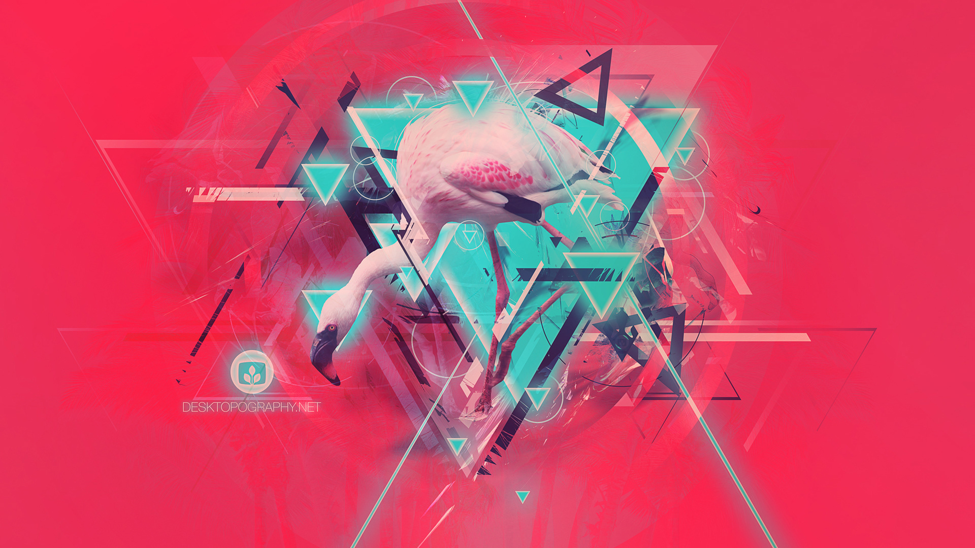 Neon Solstice (2014)
