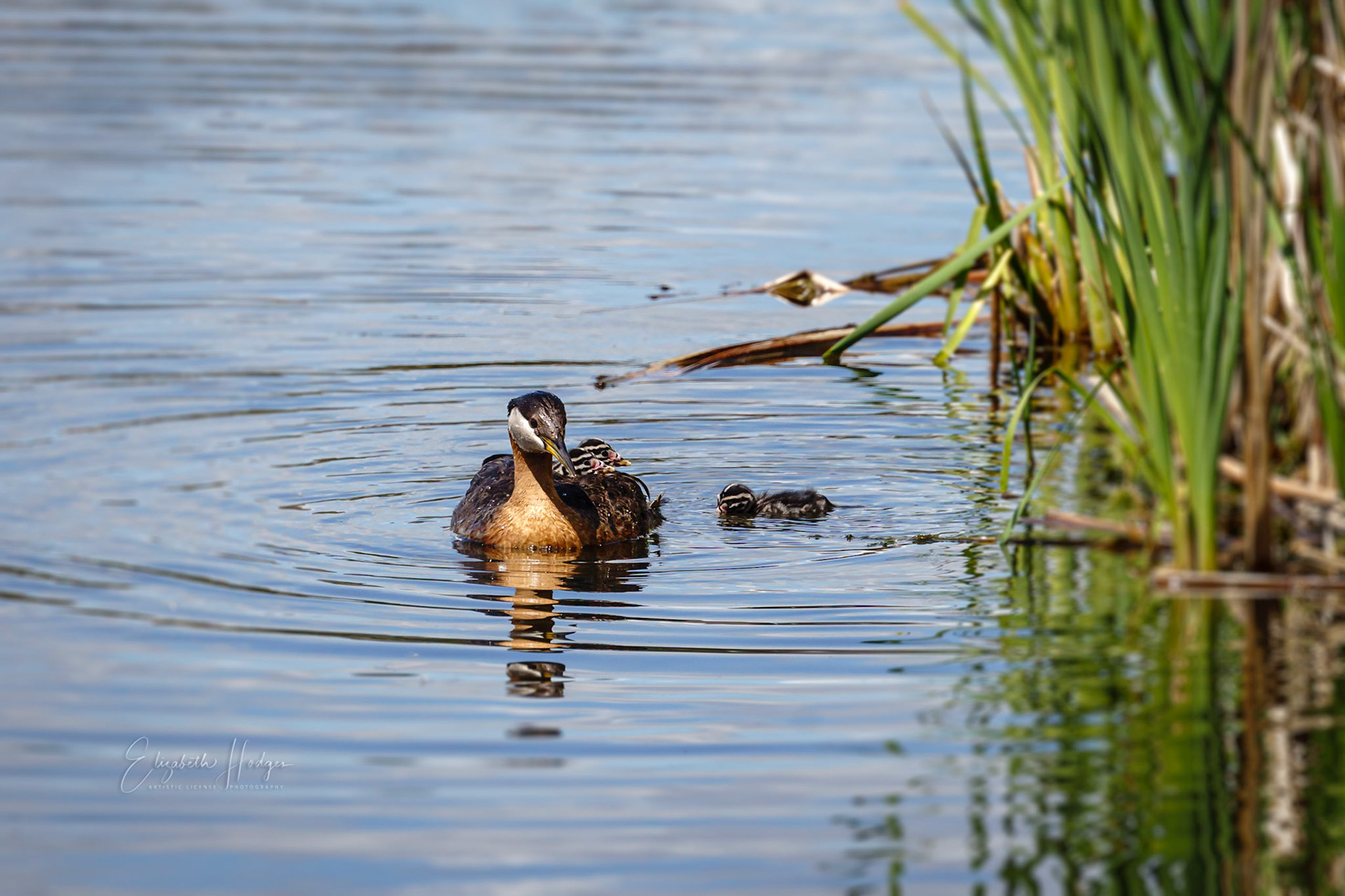 Cruisin' the Pond
