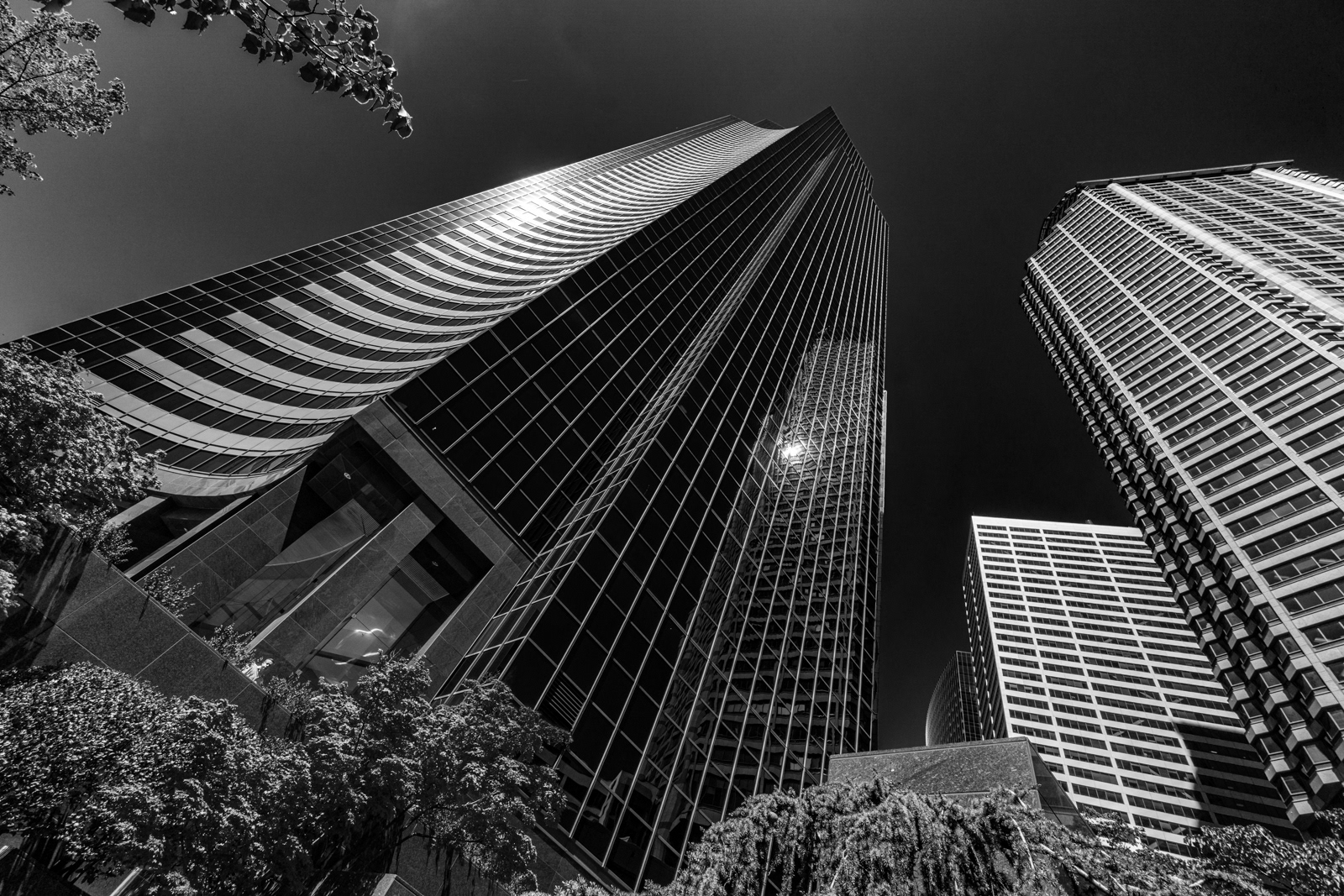B/W | Settings: | iso 100 | 10mm | f/11 | 1/125 Sek. |