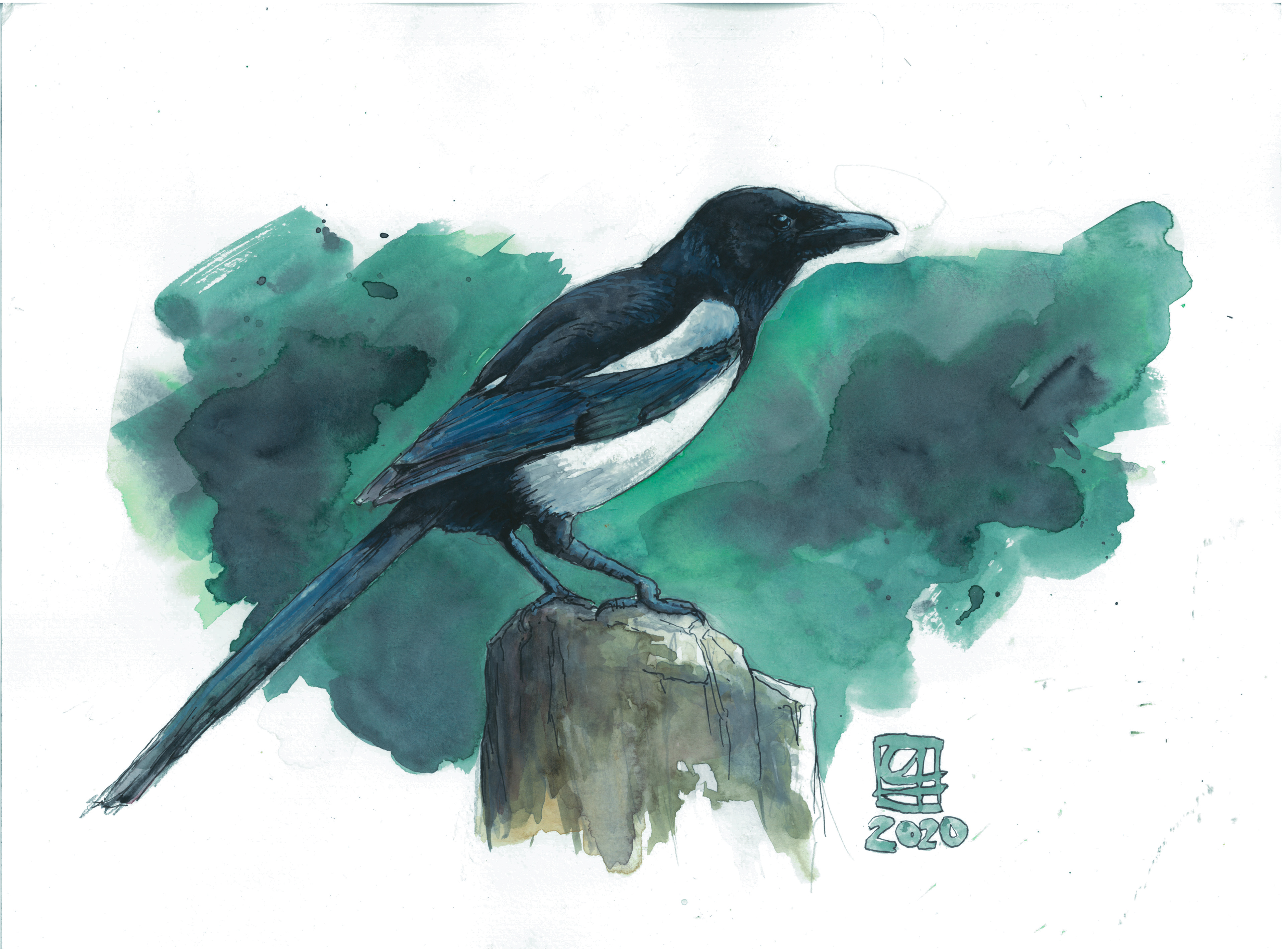 Elster (42x30) - verkauft