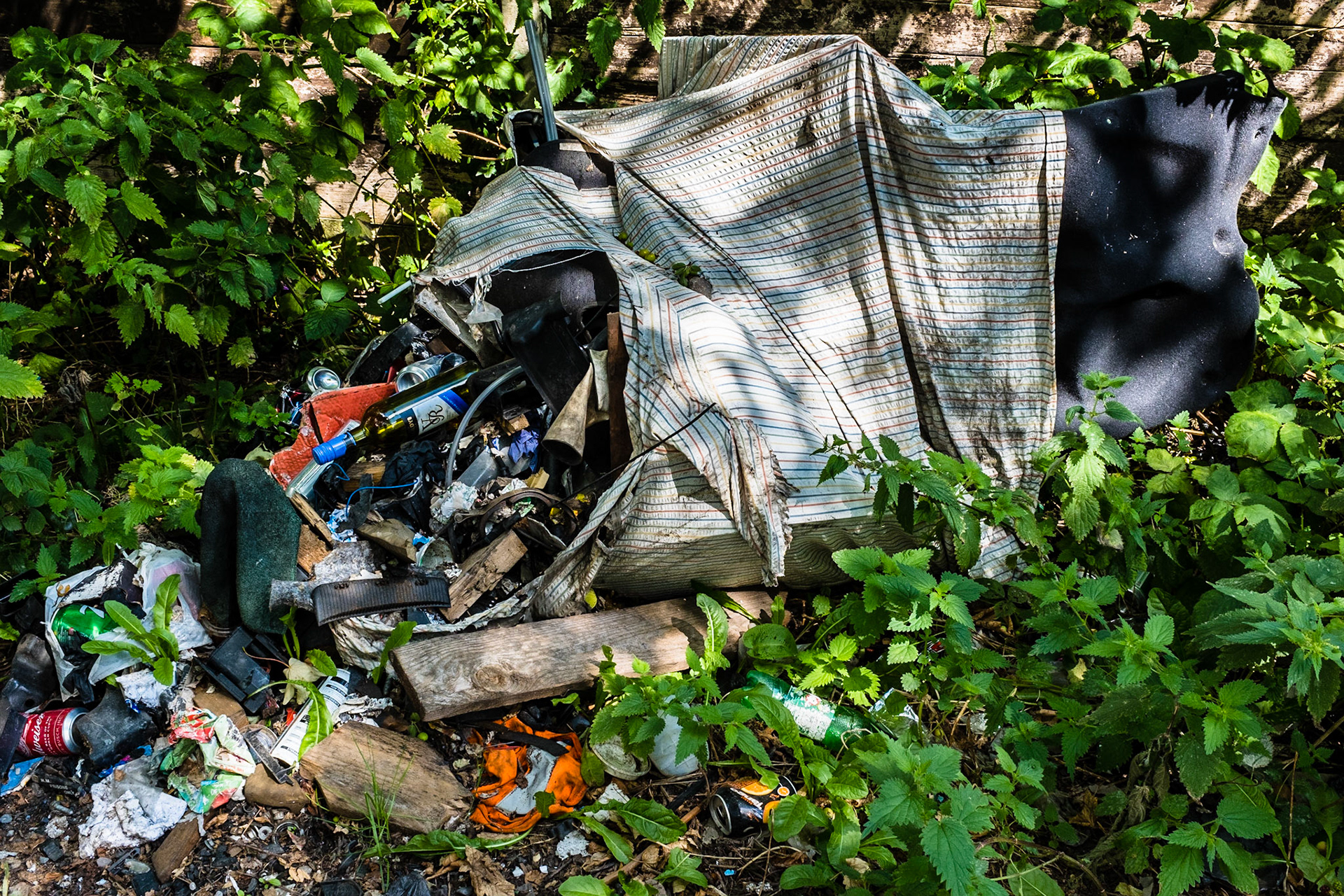 Every where You Look..