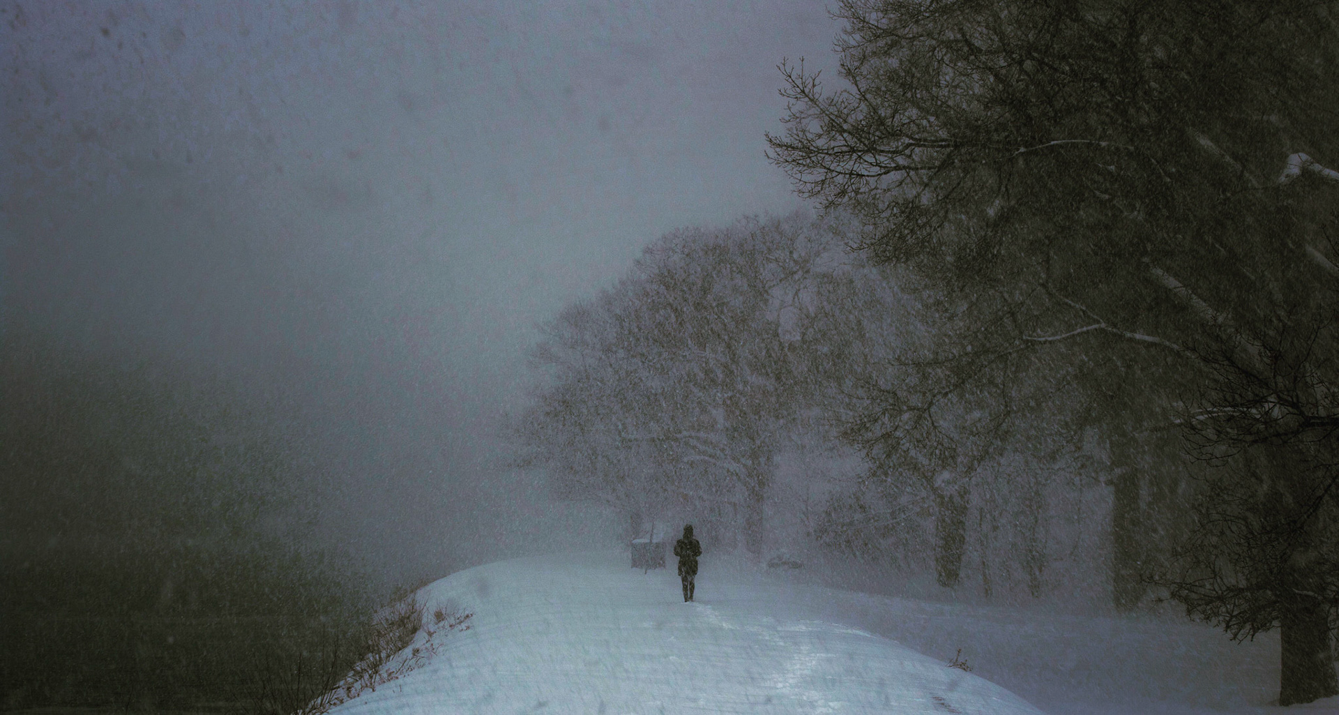 Photo by Molly Papows