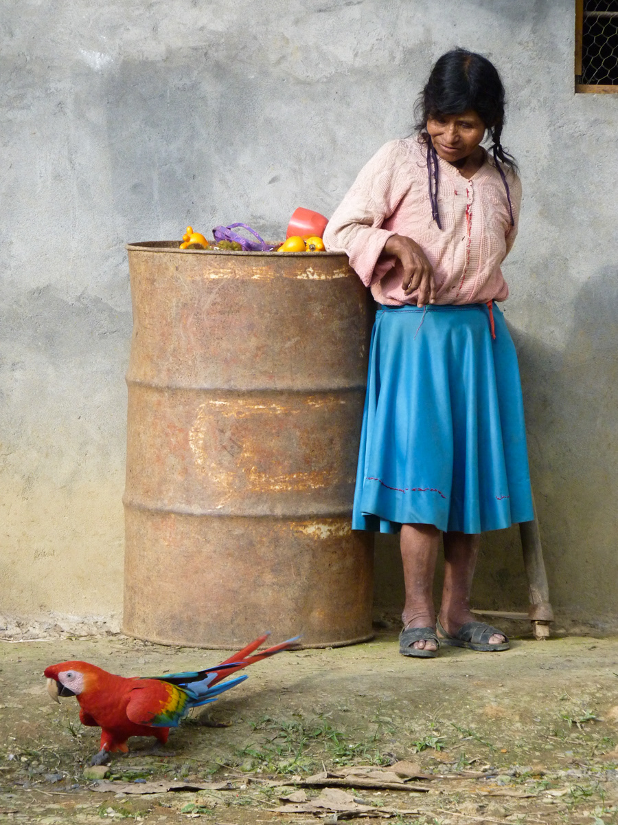 Peruvian Farmer with Macaw