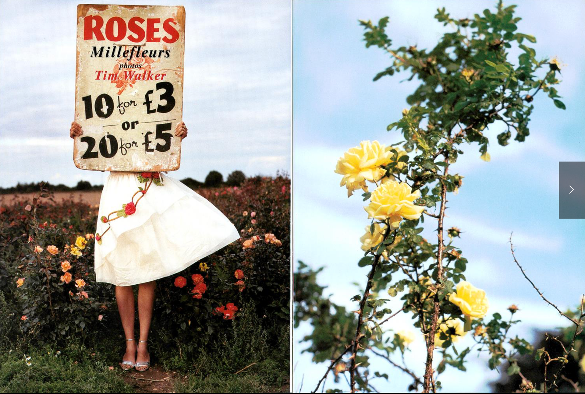 Tim Walker