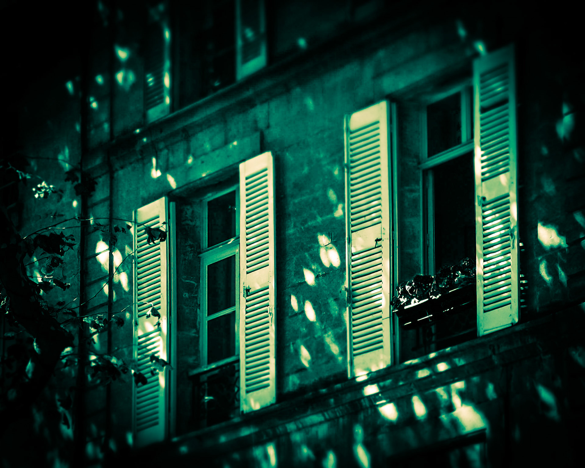 Dappled Shutters