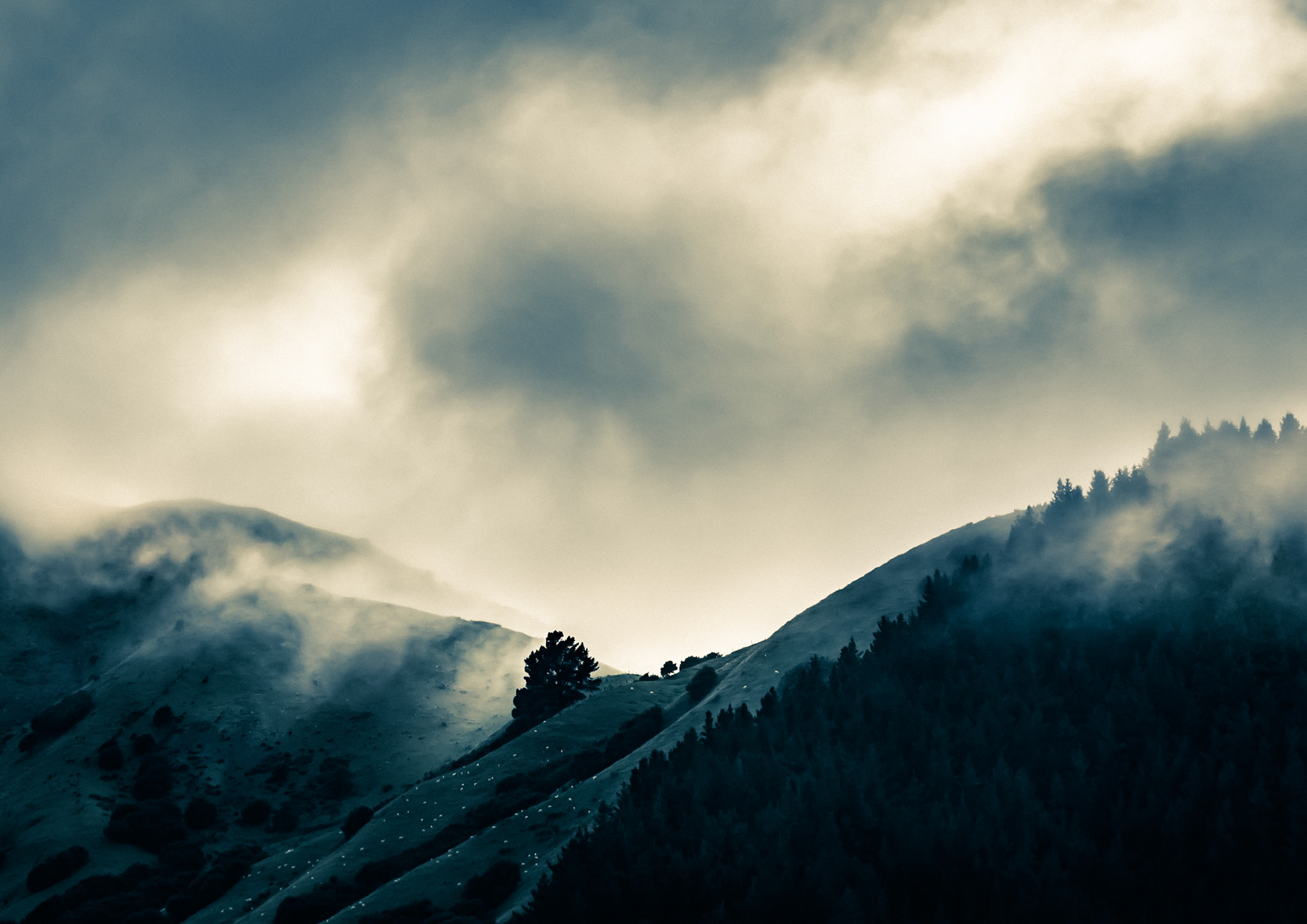 Early Light over Pepin Saddle