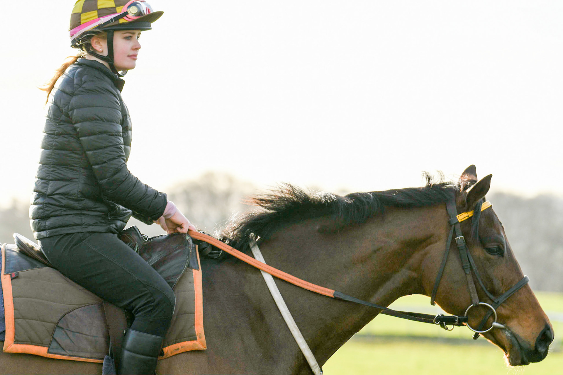 Race Horse Training