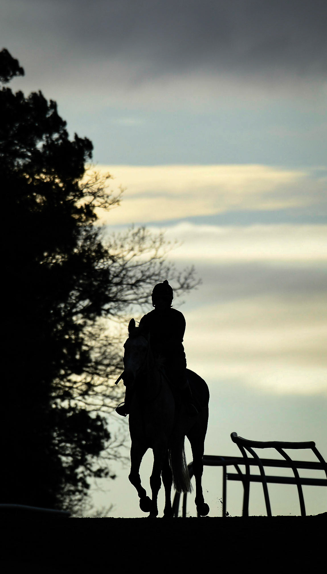 On the Gallops.