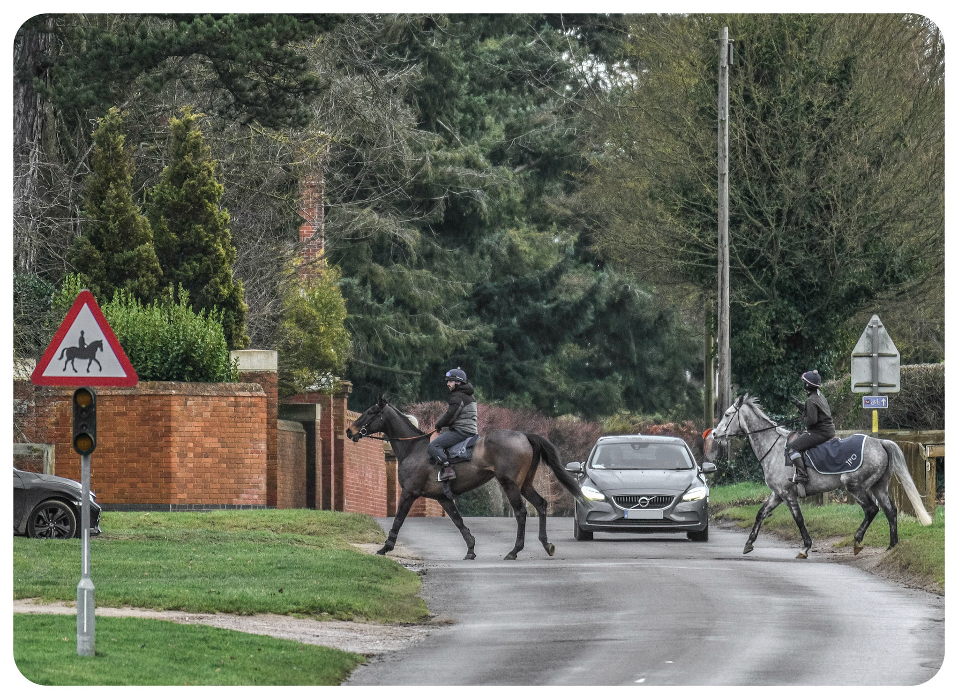 Race Horse Training