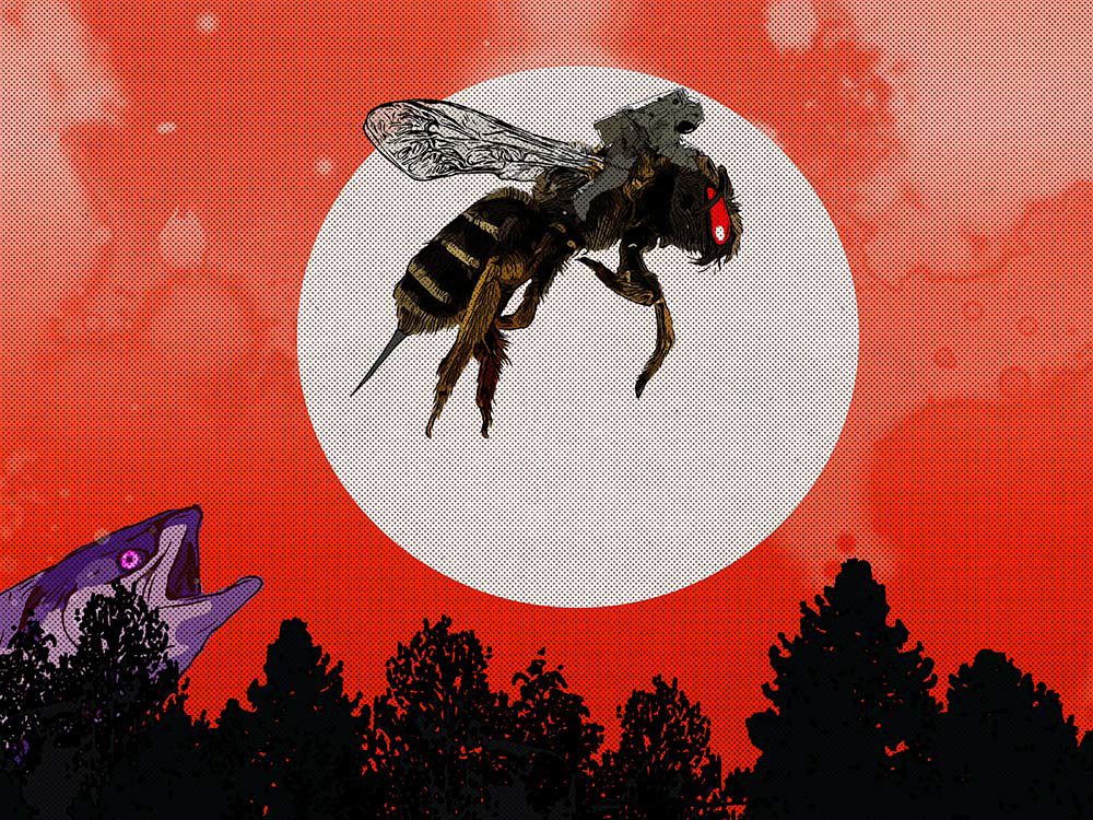 Buzz Jonah's great escape / 2020