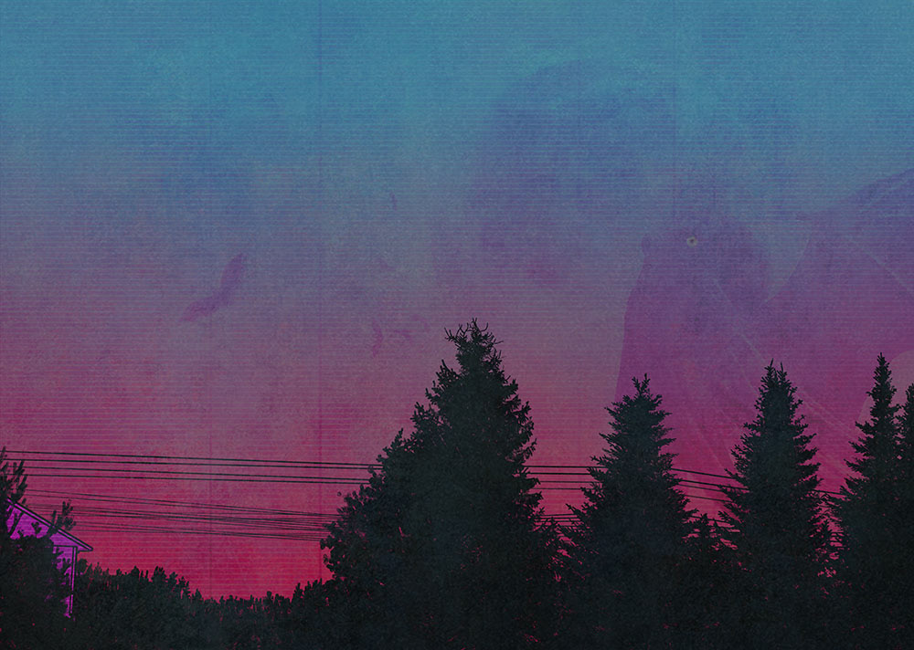 Stranger in the dusk / 2019
