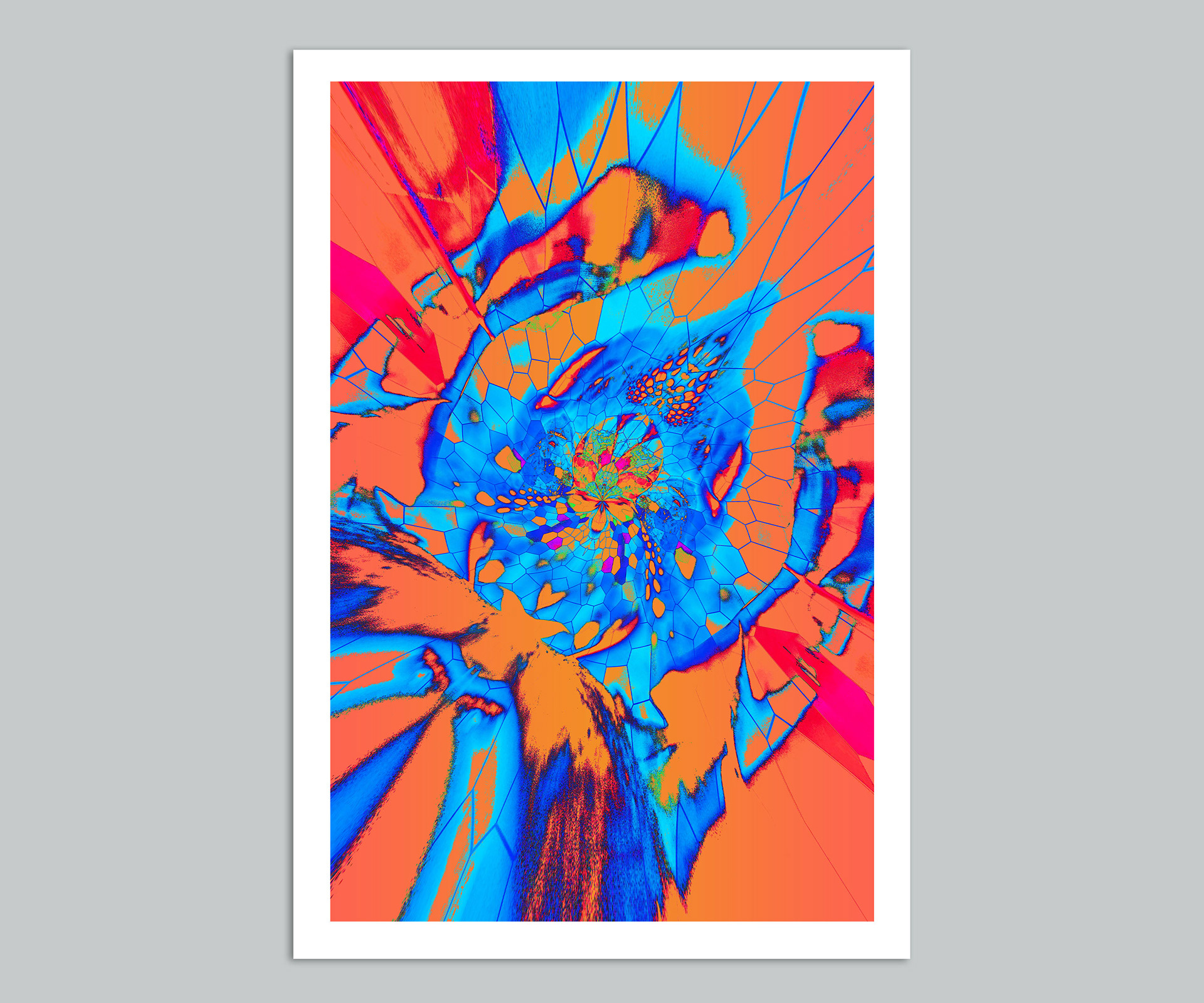 "b-L-oom" Holland, 2018