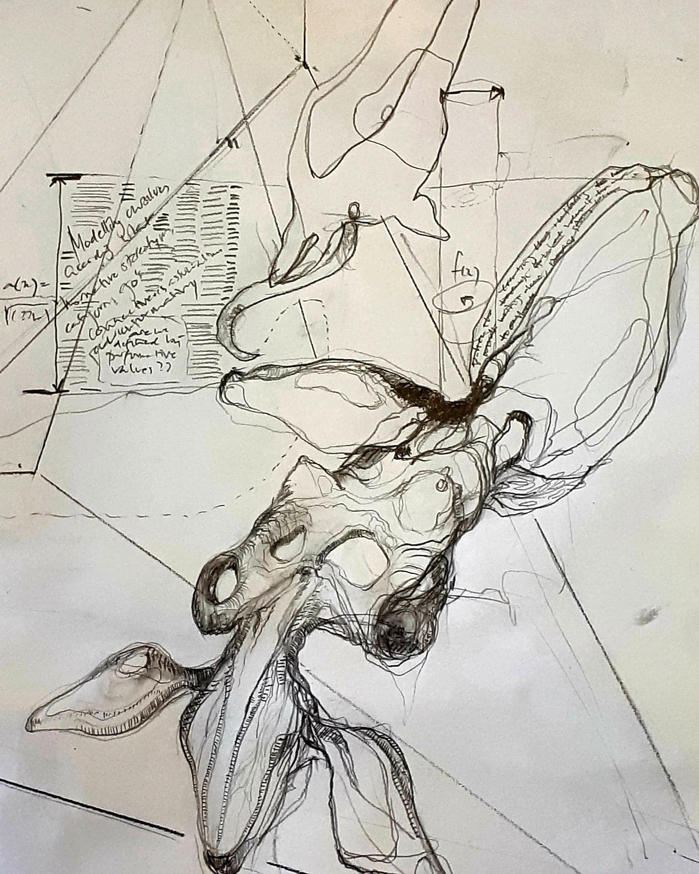 pencil on paper 2020