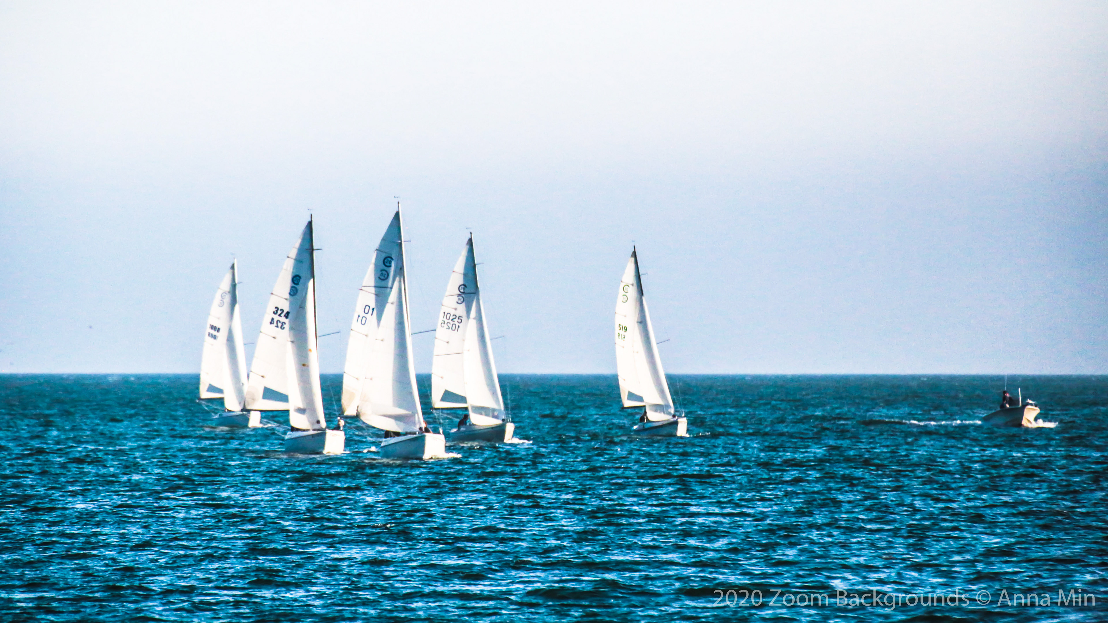 Sailing on the Pacific