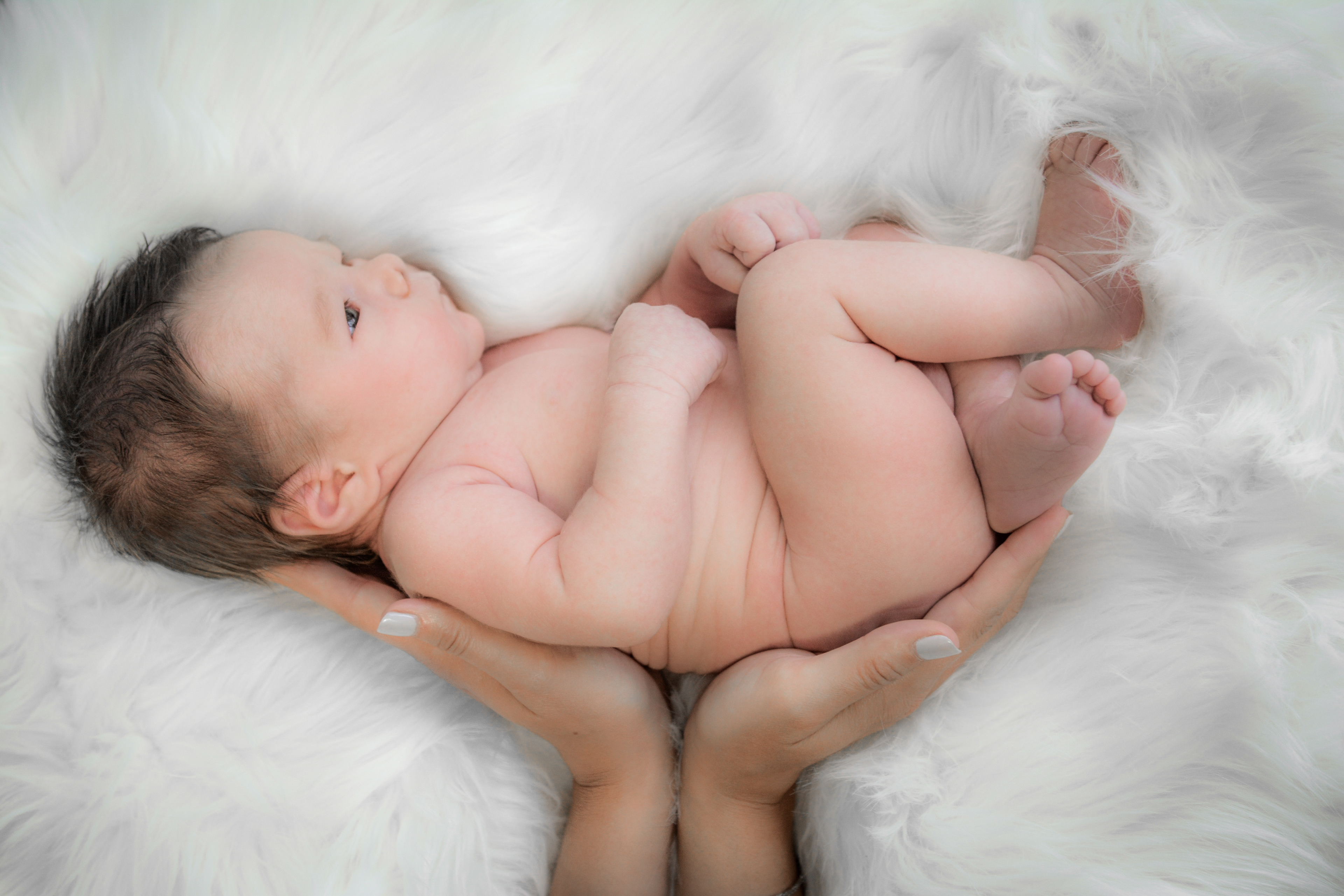 Newborn Portrait