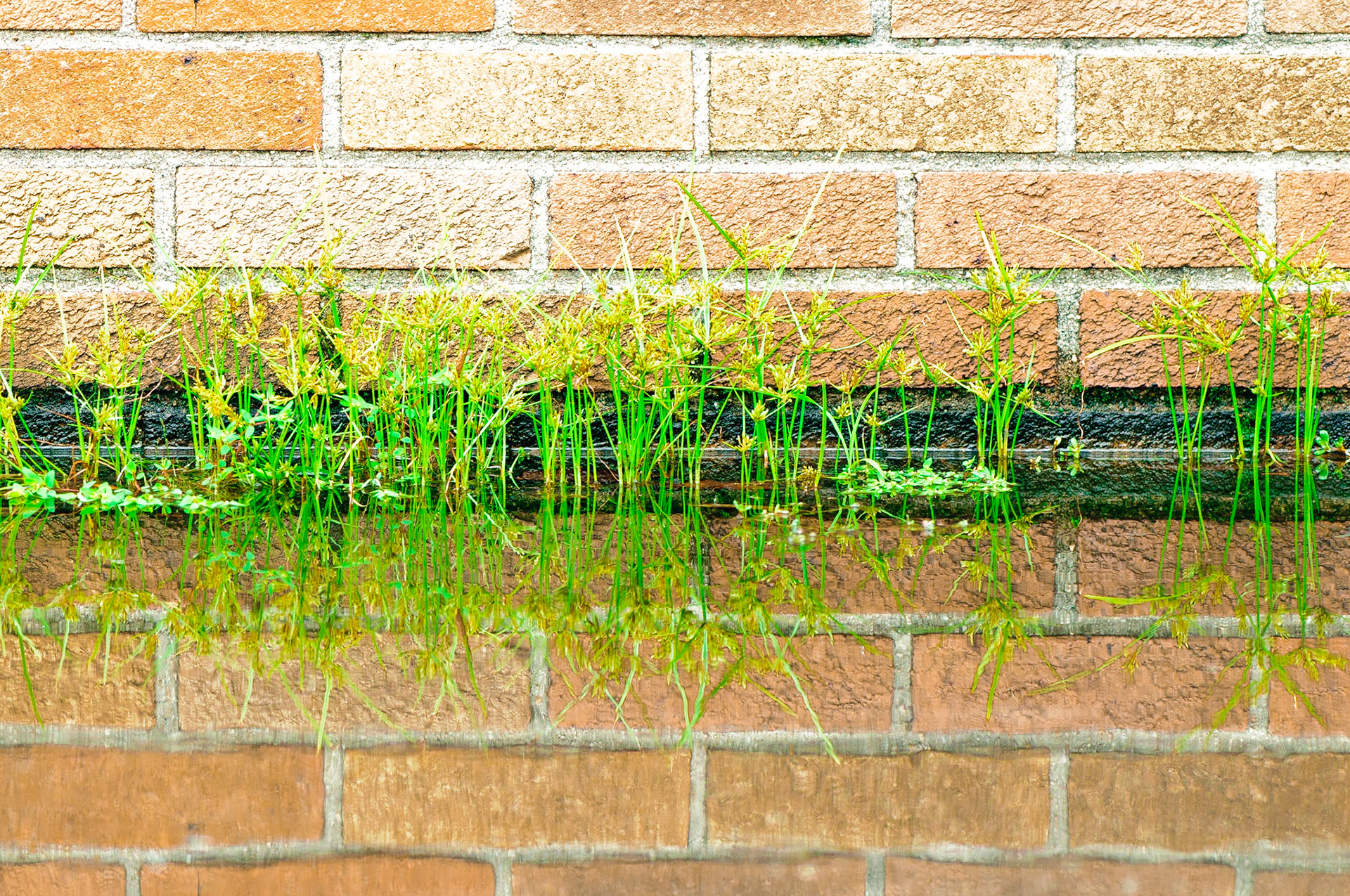 Meet you on the other side