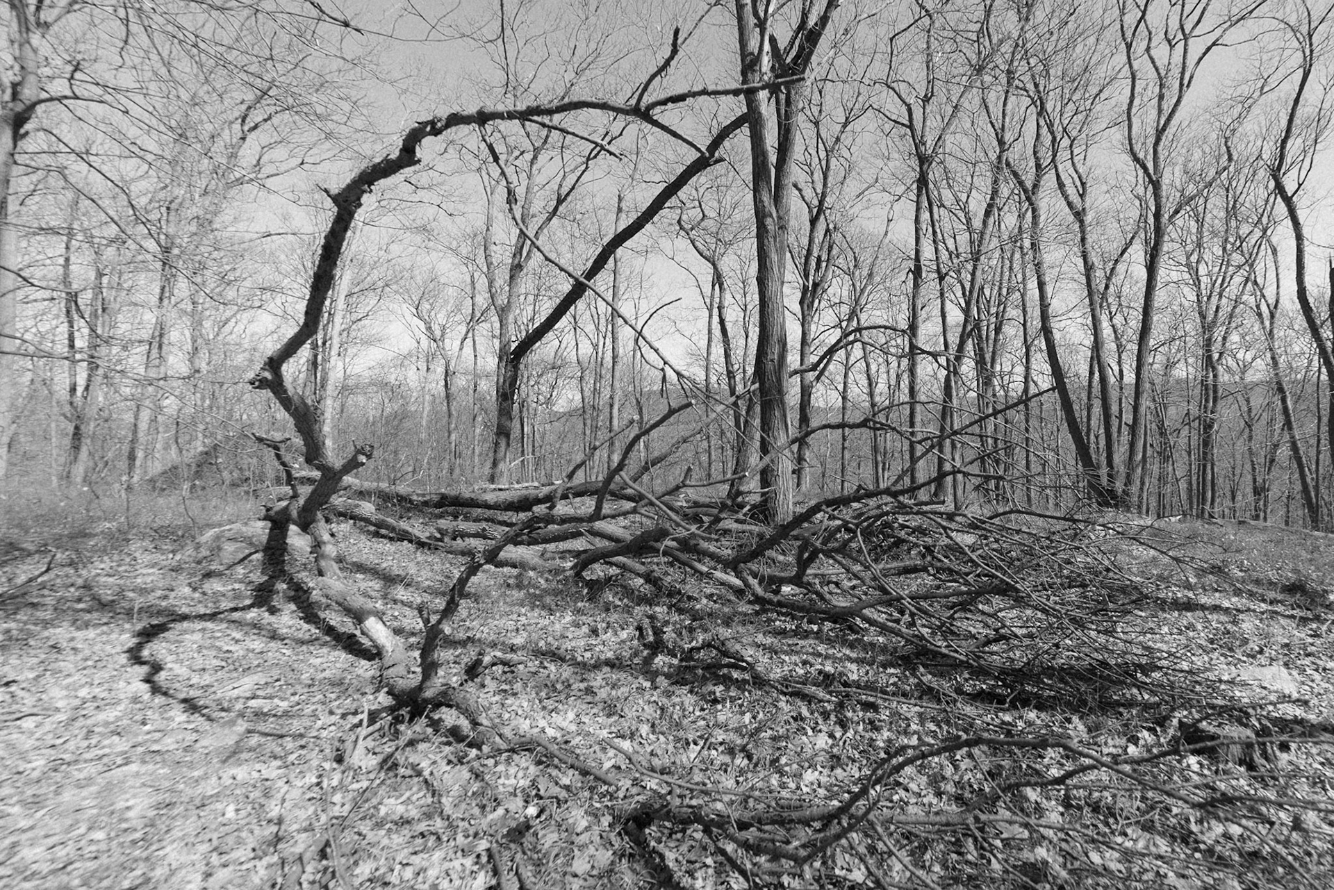 On the Eve of Spring 2