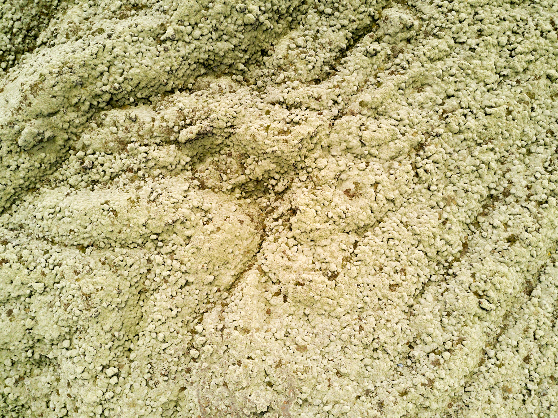 Scenic Green Lava Walk