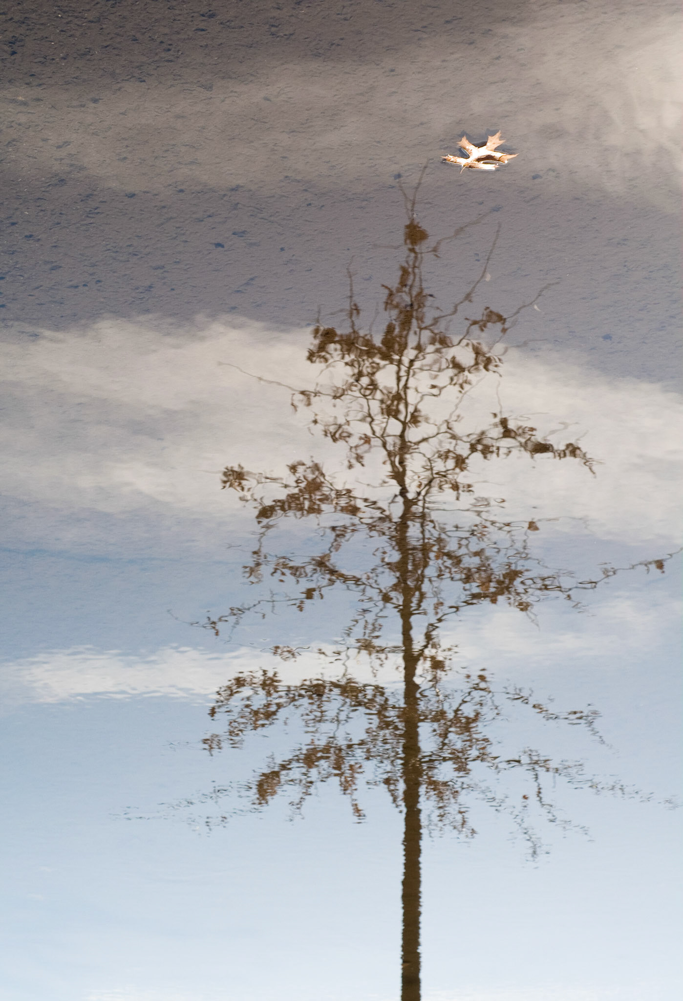 To Dream the Impossible Dream