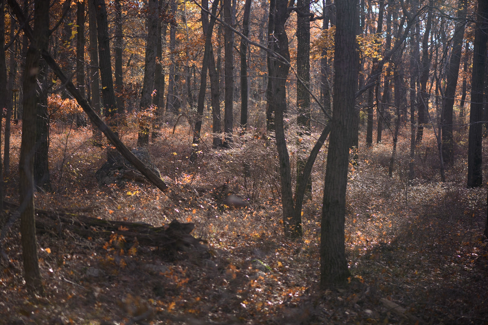 Important In Your Life