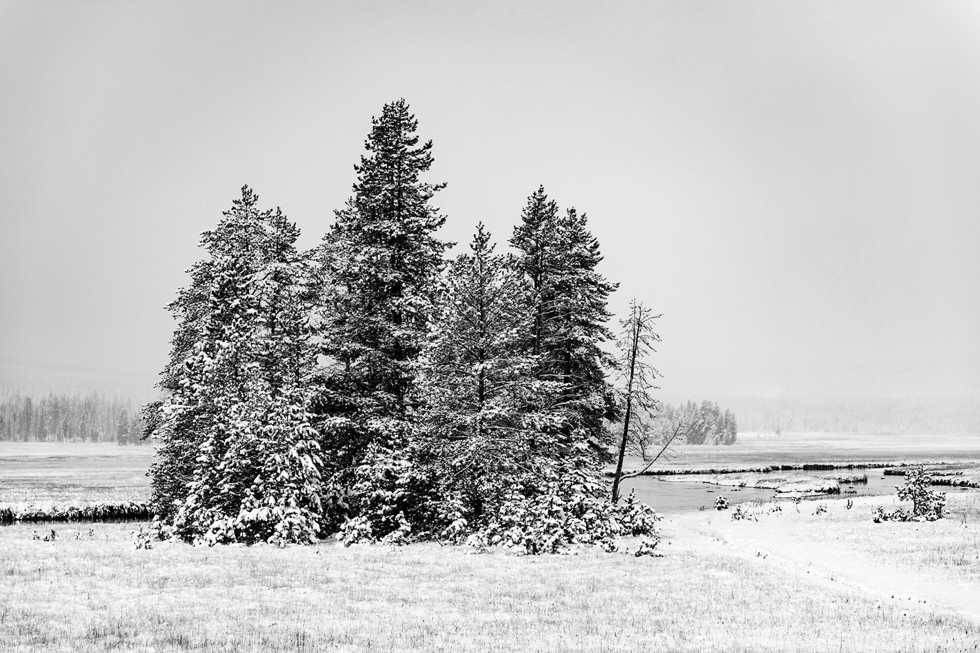 Feels like winter wonderland