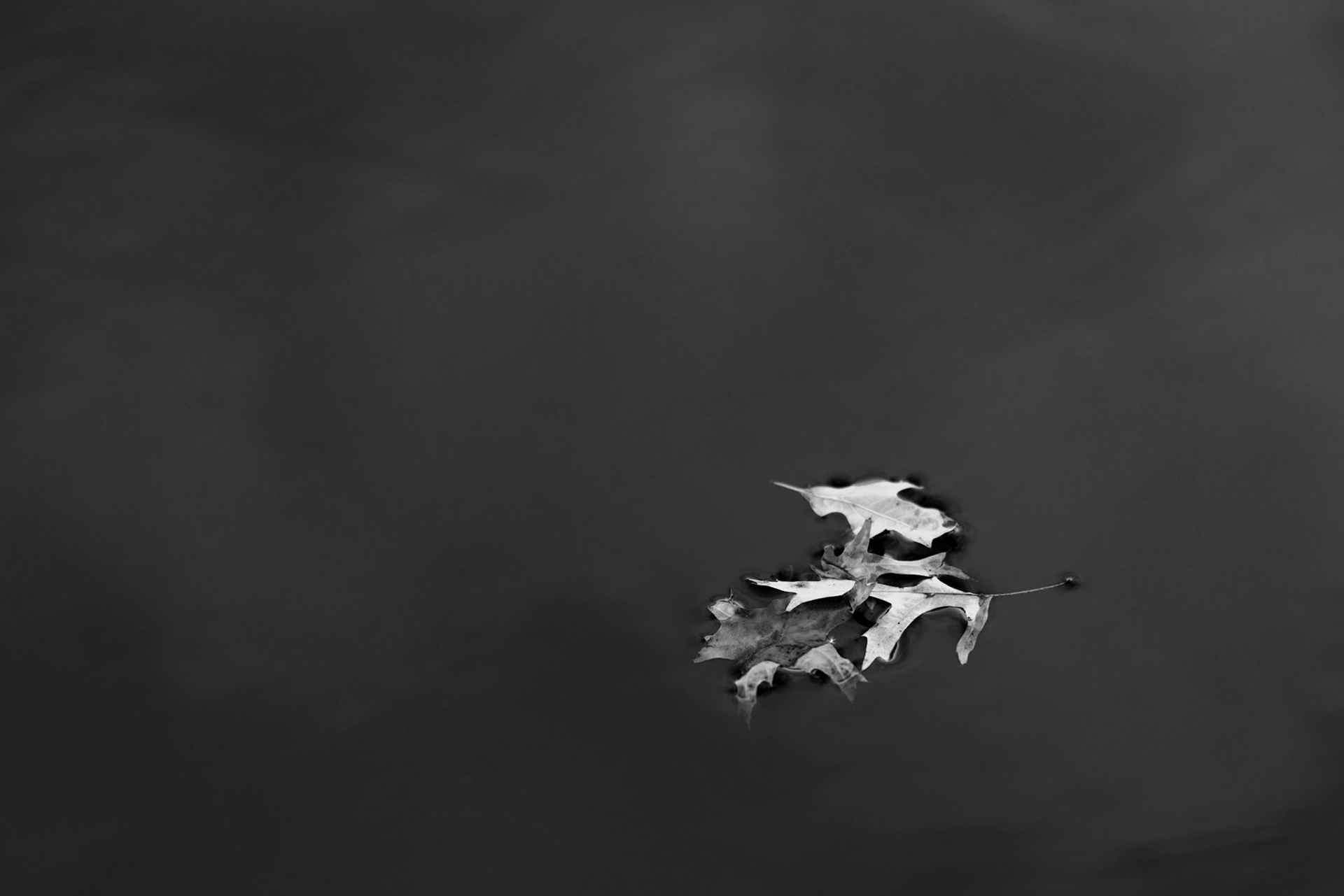 As Long As We're Together