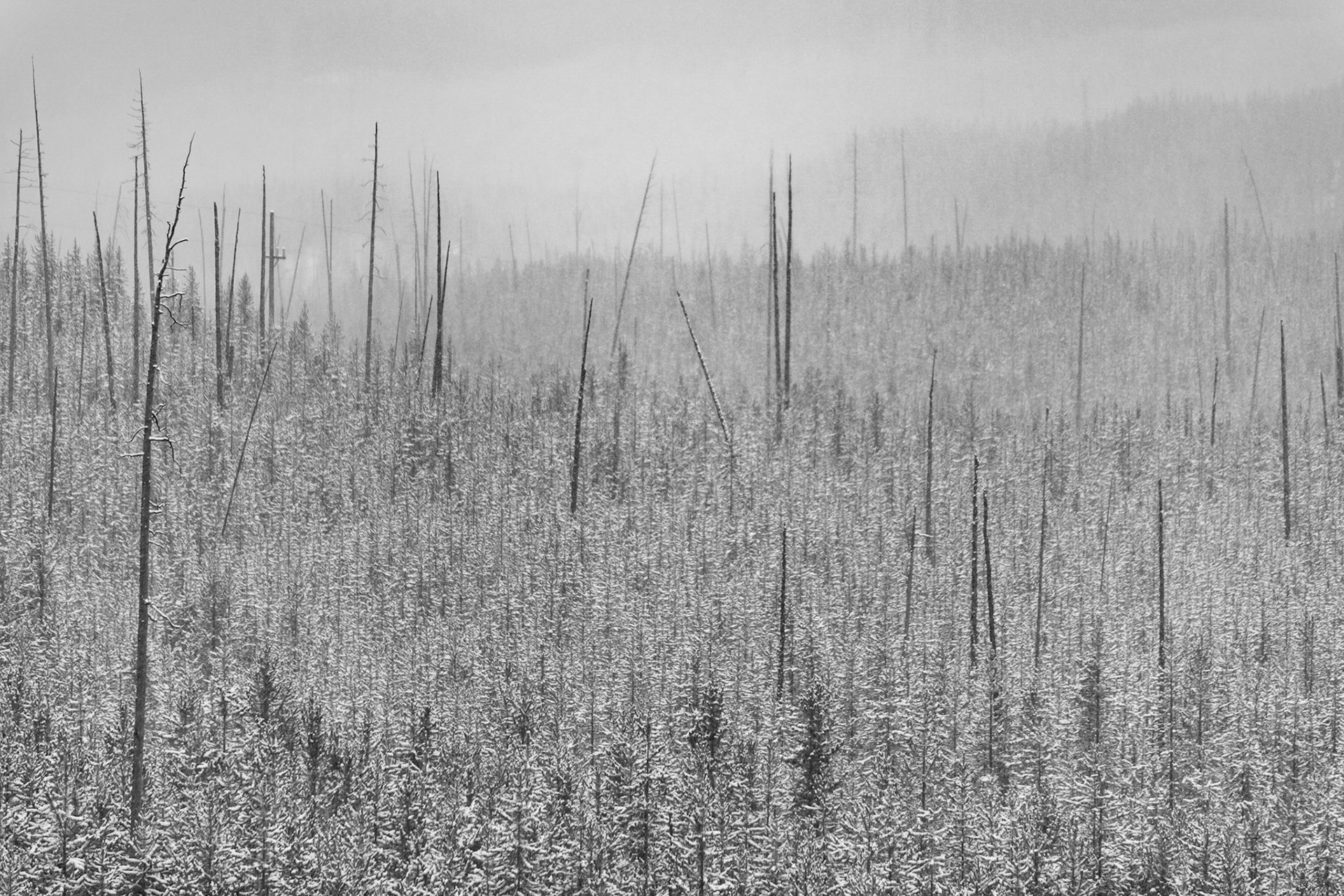 As far as I care to go