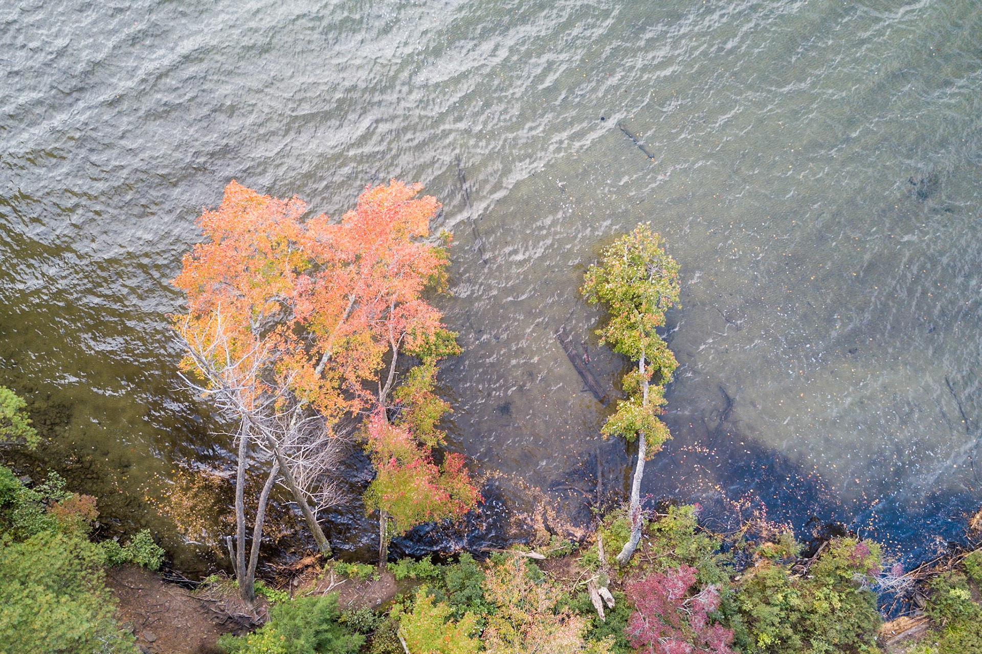 A Matter of Perspective