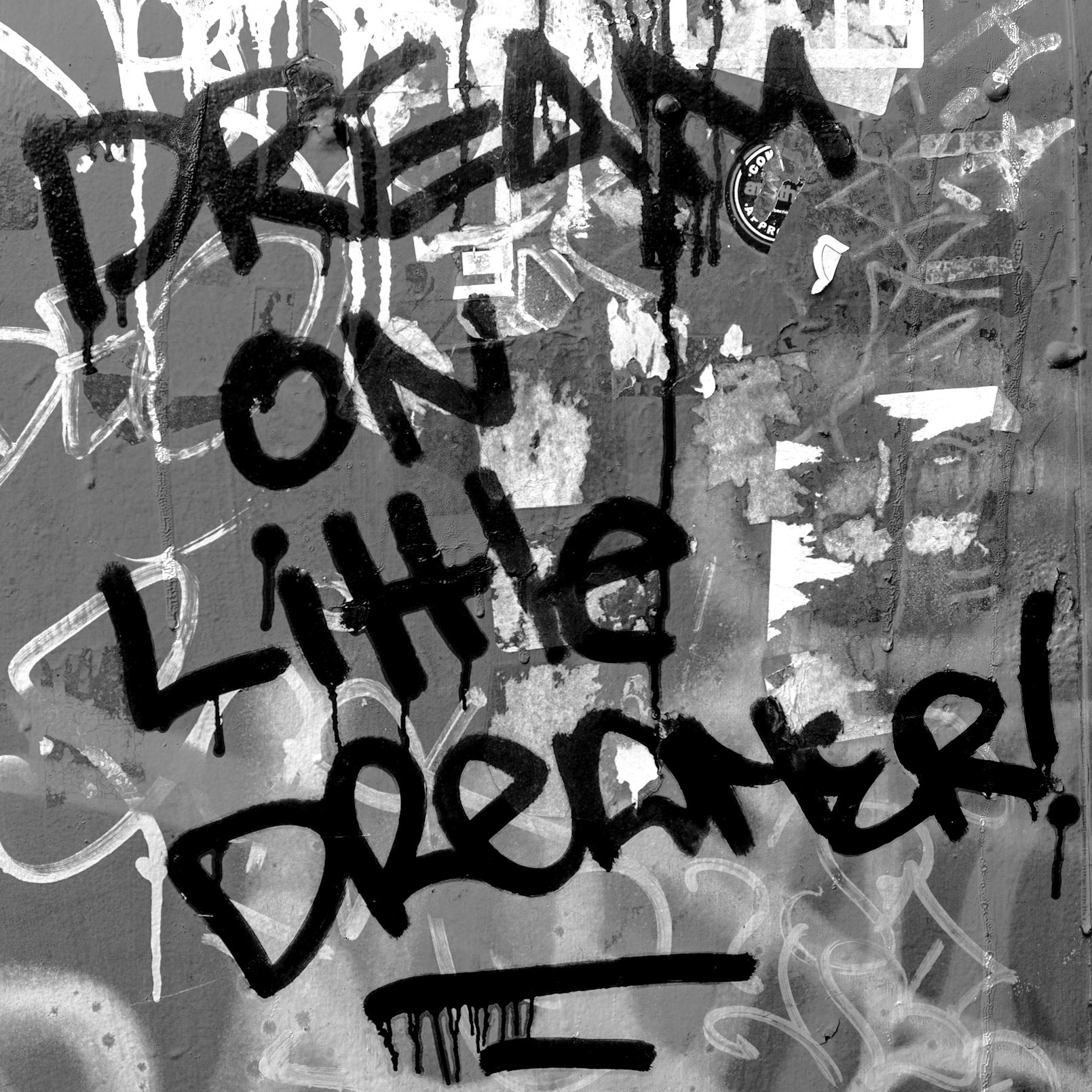 The Story of the Little Dreamer