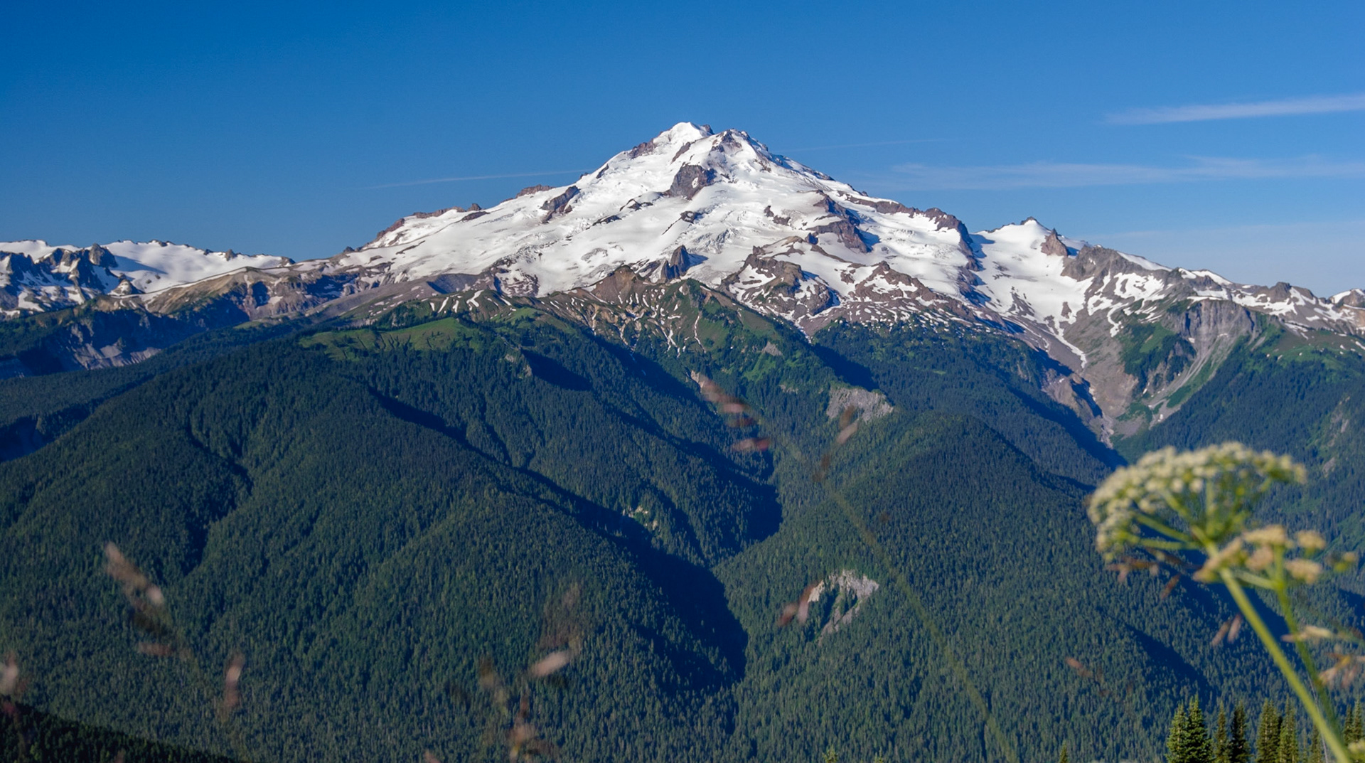 Glacier Peak
