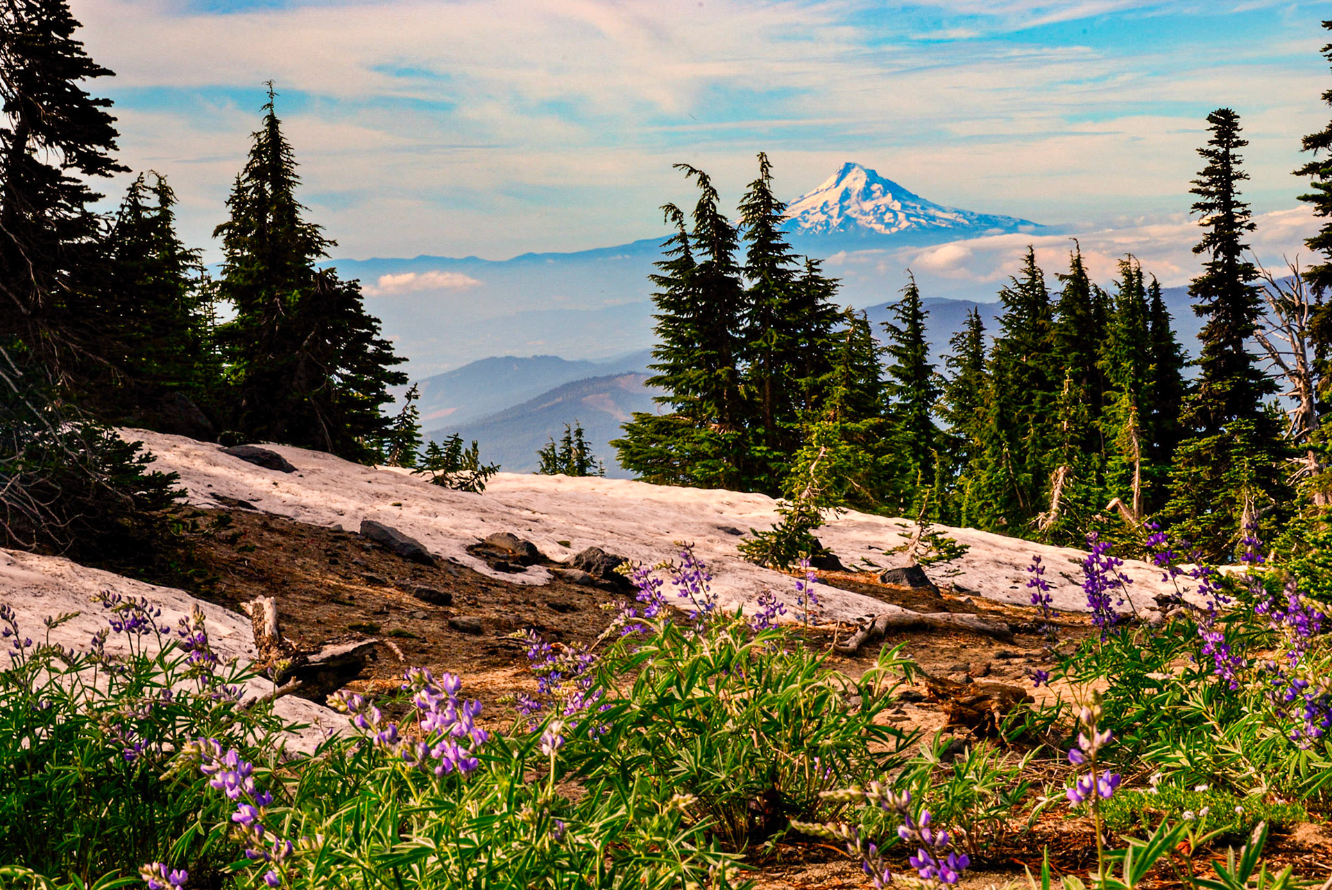 Mt. Hood