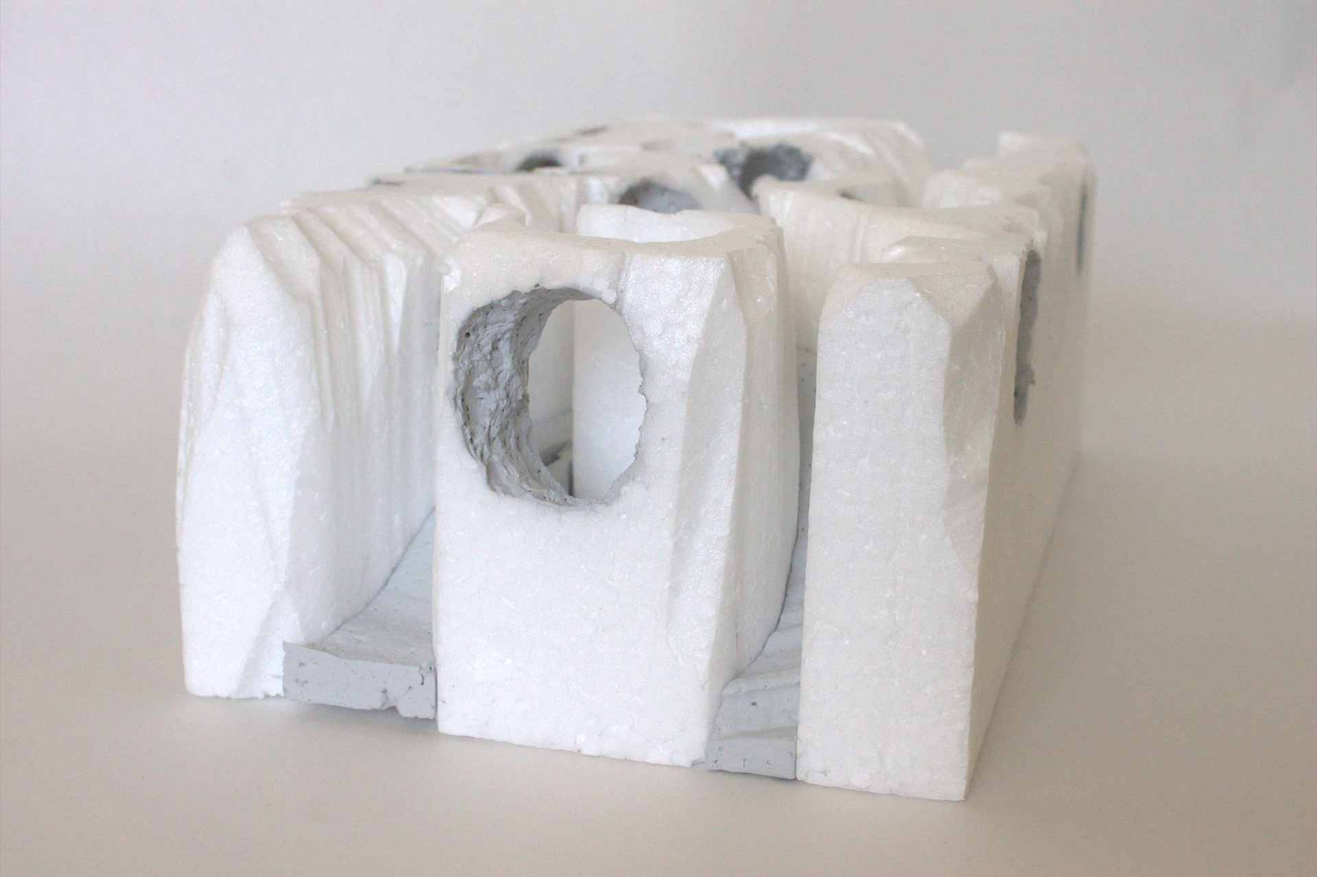 Study Model 1