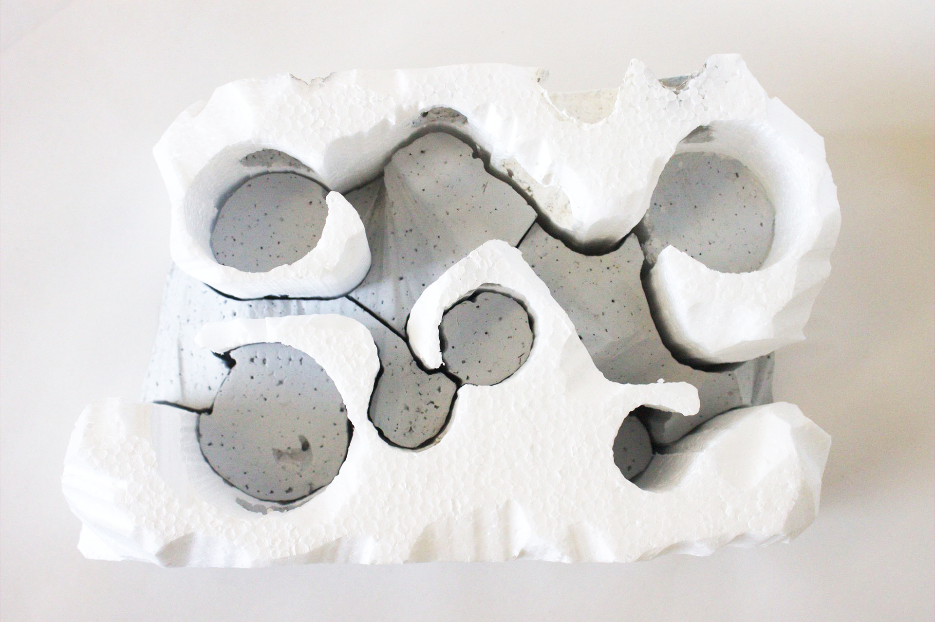 Study Model 2