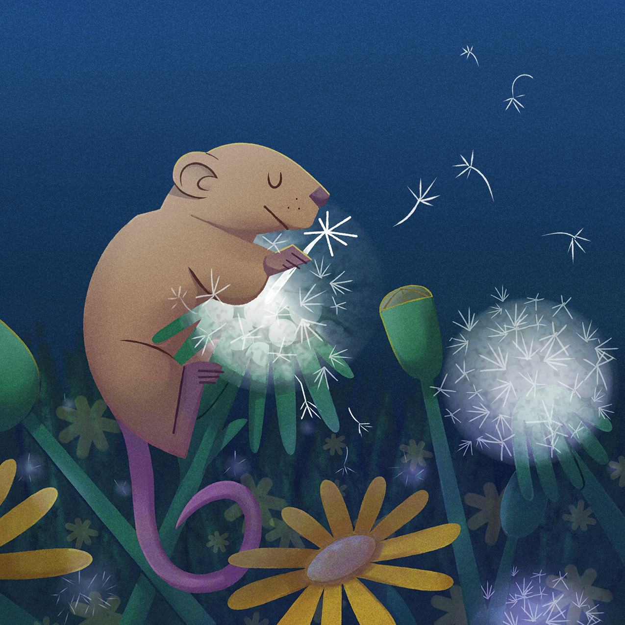 Promotional Image