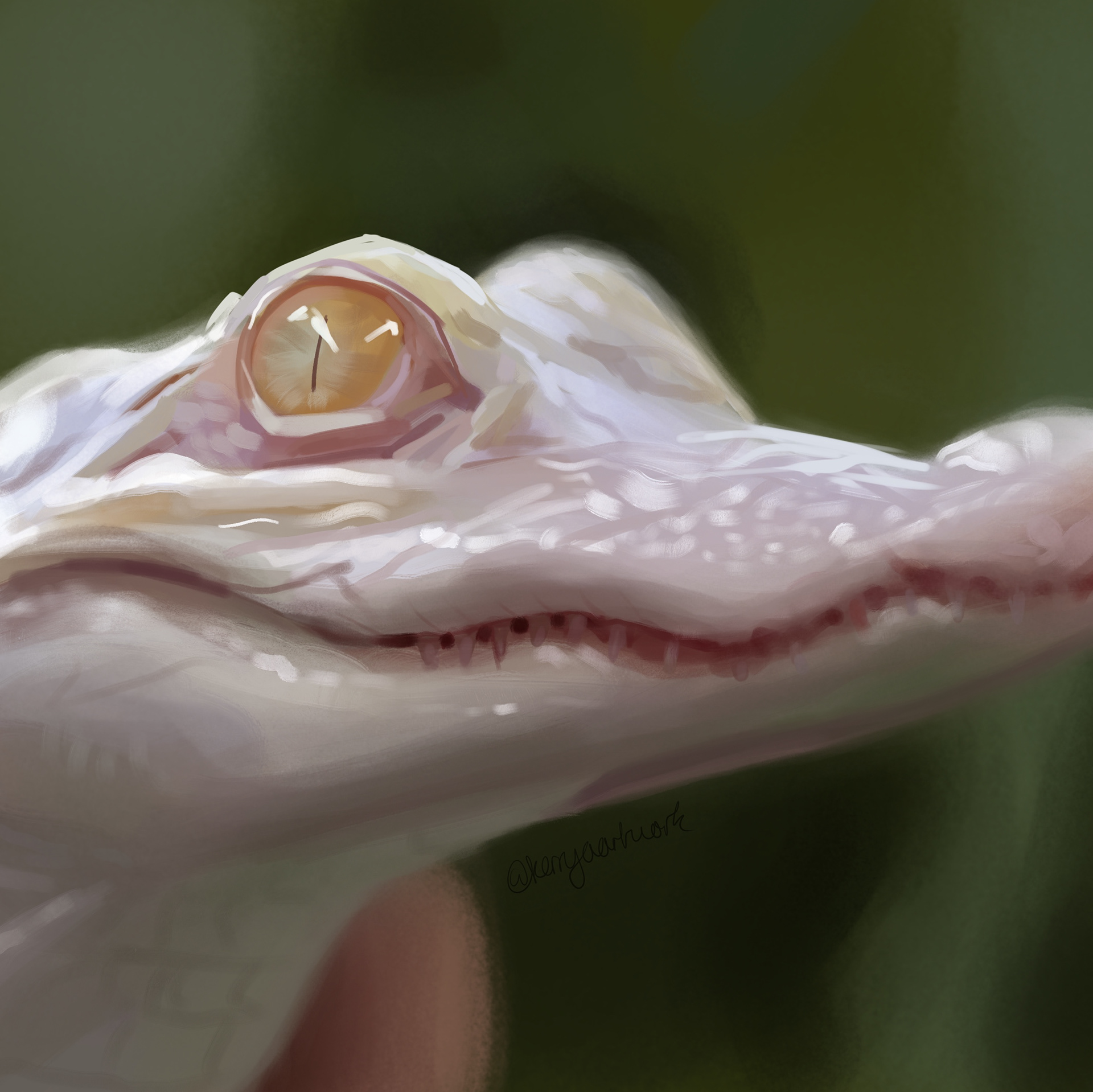 Animal Study