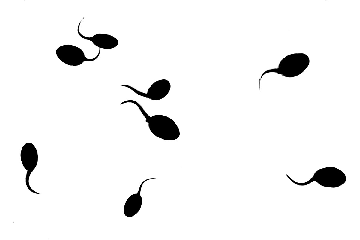 tadpoles