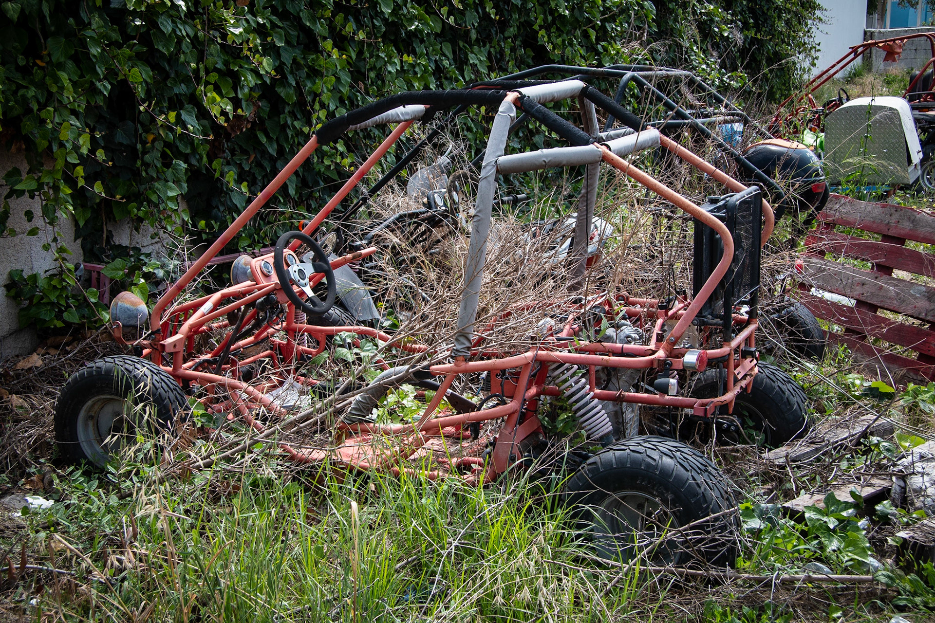 Buggy